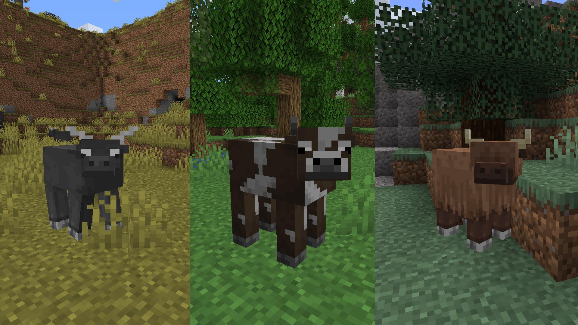 1920x1080 I spent hours on making these cows variations for warm, temperate and cold biomes for my pack ! Despite the fact that the savanna's one look stupid I'm pretty happy with the