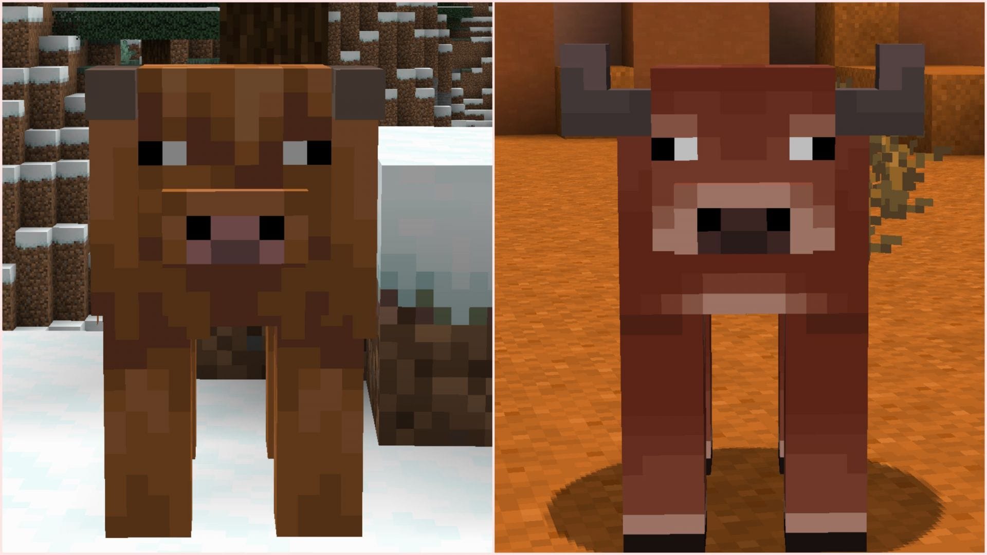 1920x1080 Minecraft cow variants: Everything you need to know