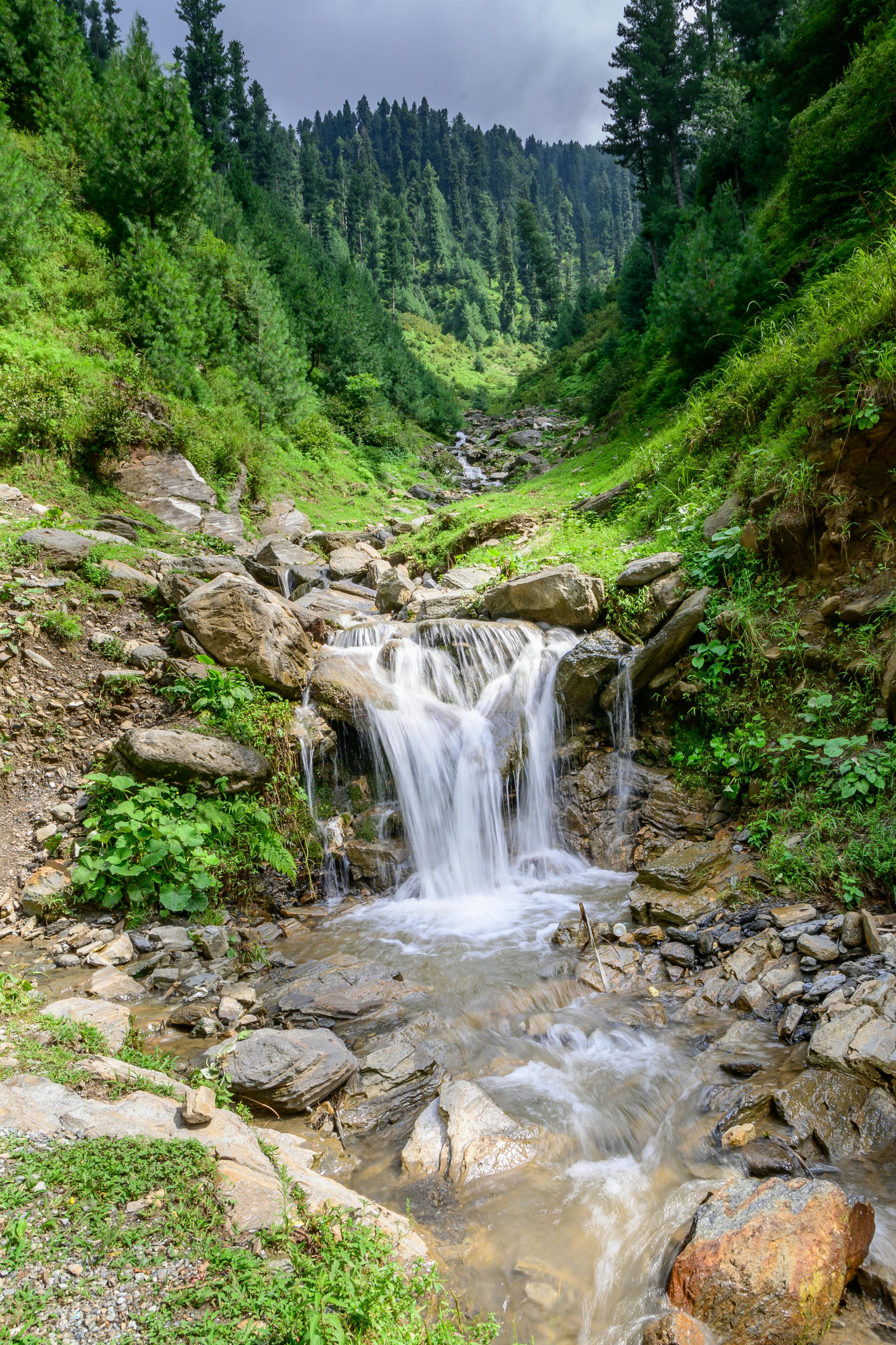 2560x3840 Waterfall Flowing on a Mossy Rocks · Free