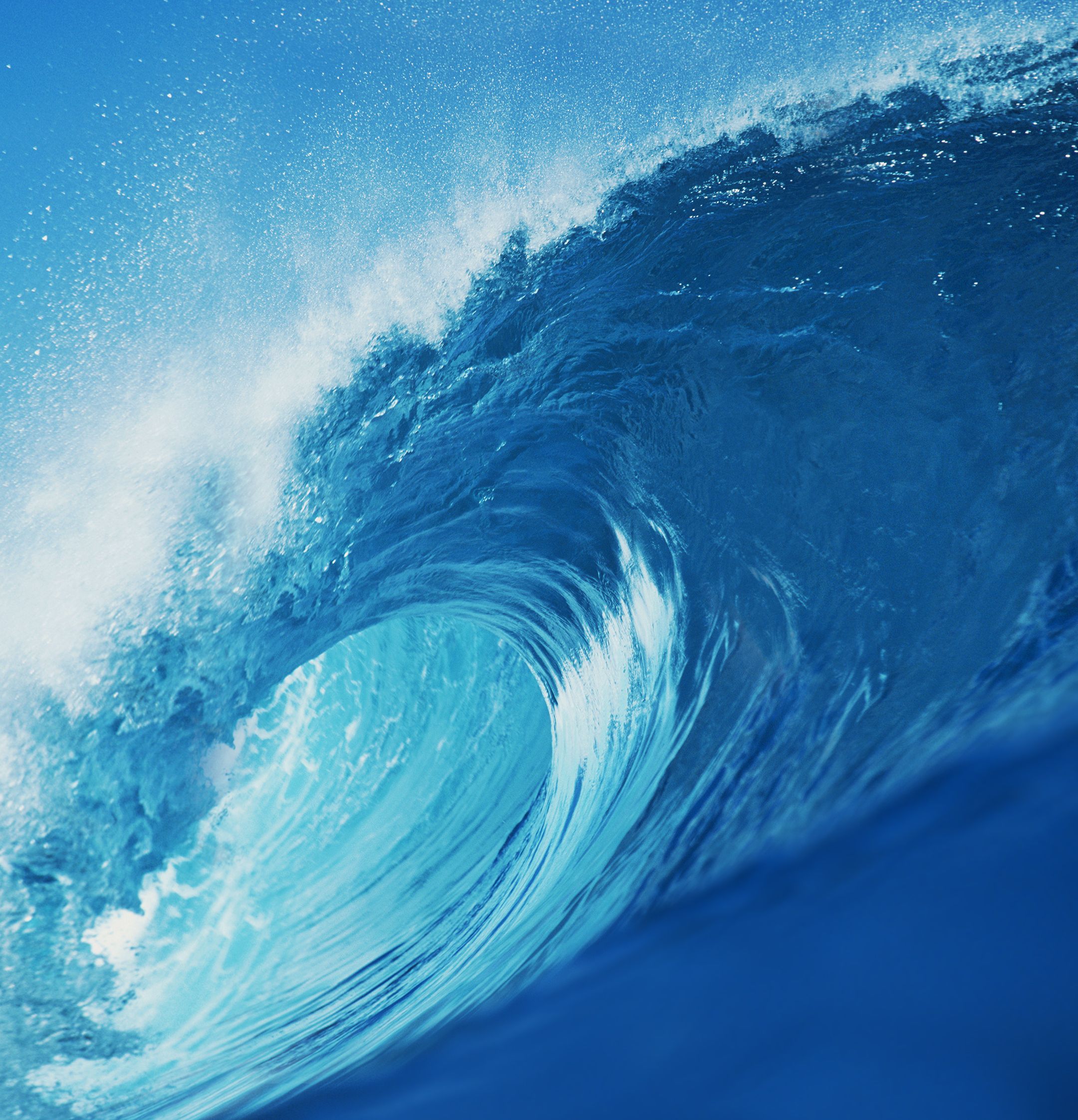 2160x2244 Download Honor 8X Max Stock Wallpaper