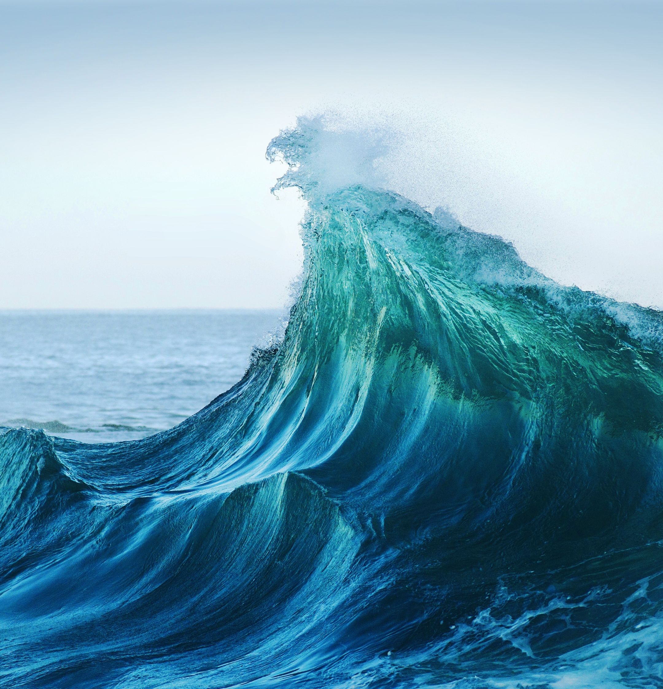 2160x2244 Download Honor 8X Max Stock Wallpaper