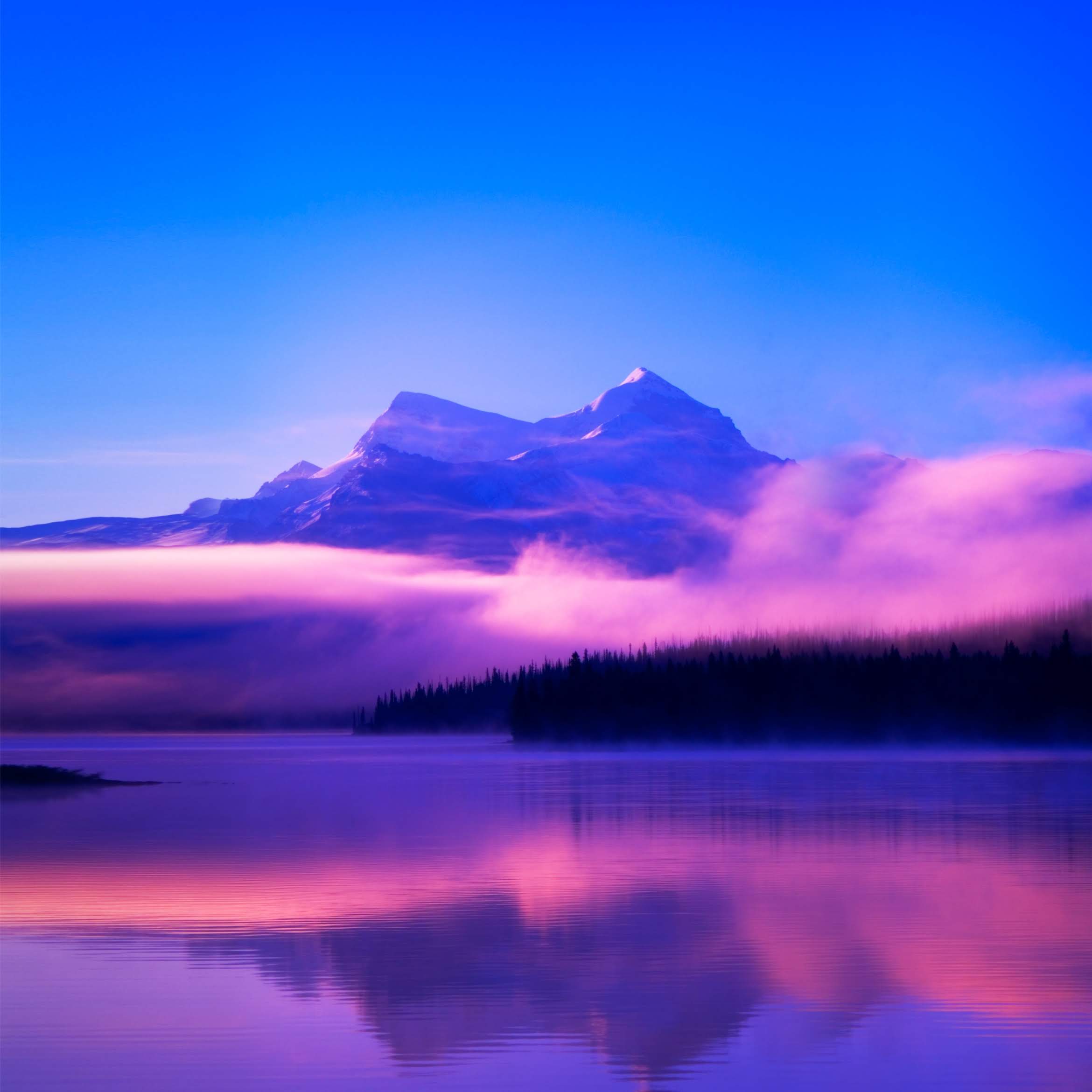 2340x2340 Wallpaper Huawei, Honor Magic Honor Magic Smartphone, Huawei Honor 8x, Background Free Image