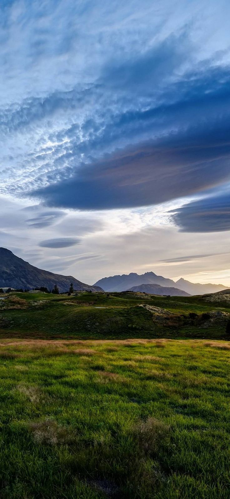 736x1594 New Zealand Queenstown Valley - [1080x2340]