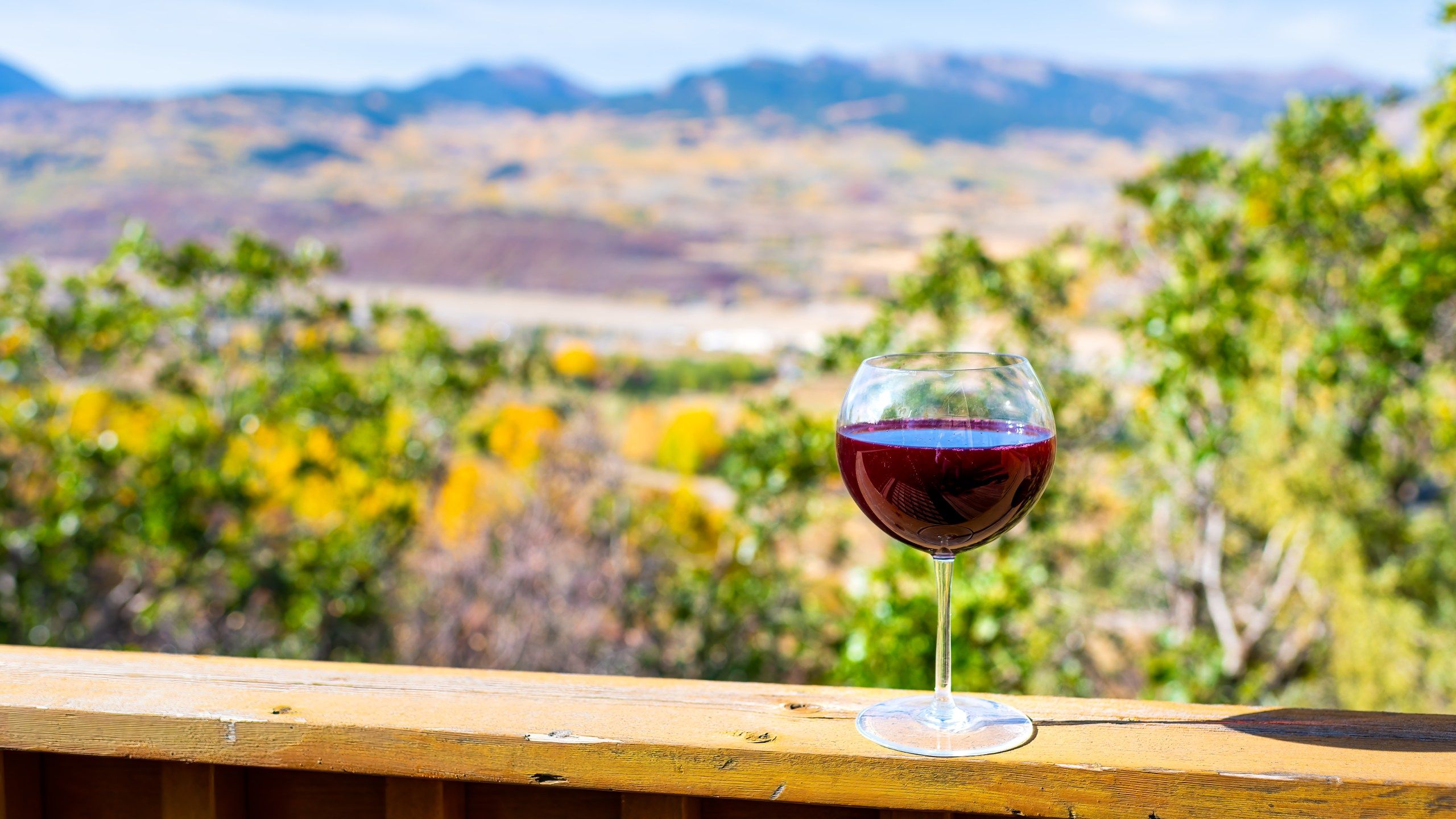 2560x1440 Top Rated Wineries On The Western Slope