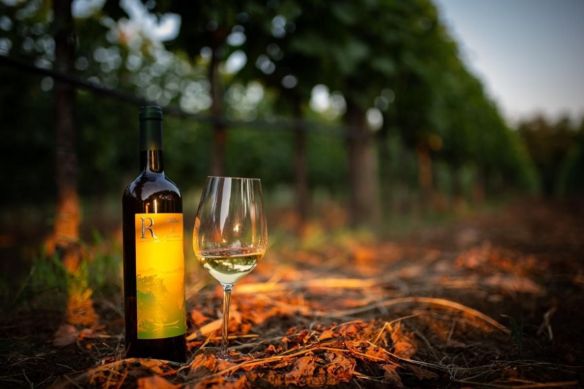 1200x800 Ražnatović winery