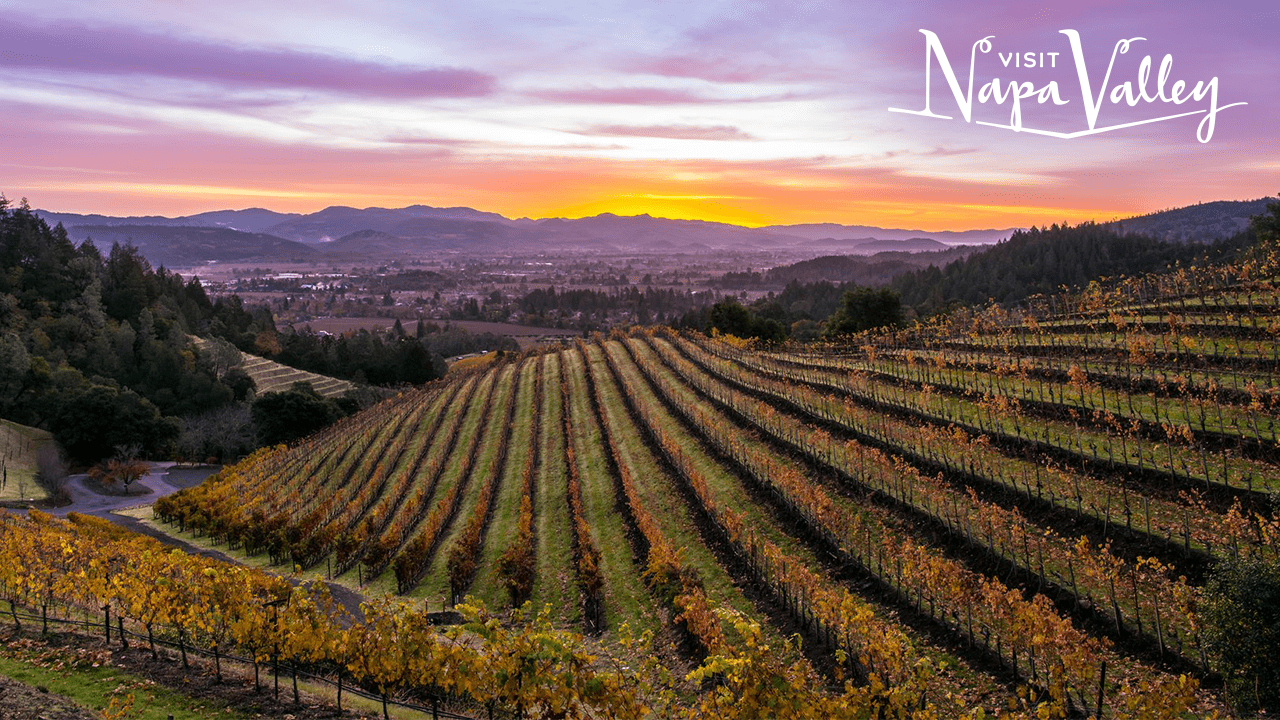 1280x720 Zoom Background Wine Tasting On Zoom Napa Valley Zoom Background For Your Virtual Meetings