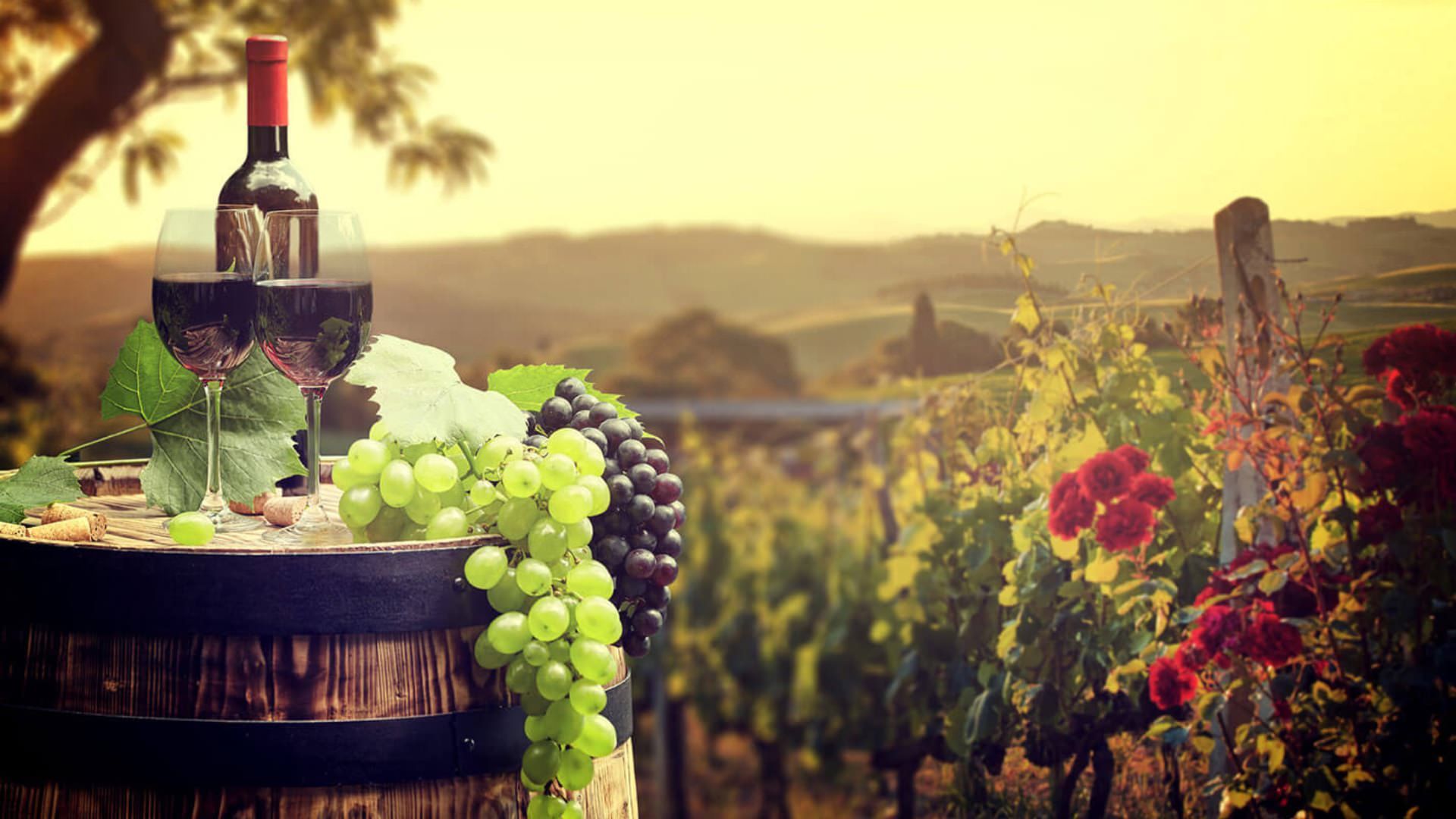 1920x1080 Vermeil Wines - Calistoga Wine Tasting