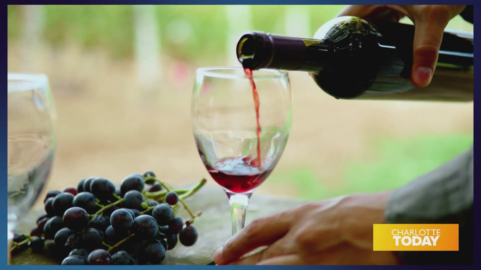 1920x1080 A Sip of Confidence: Learning the Art of Wine Tasting