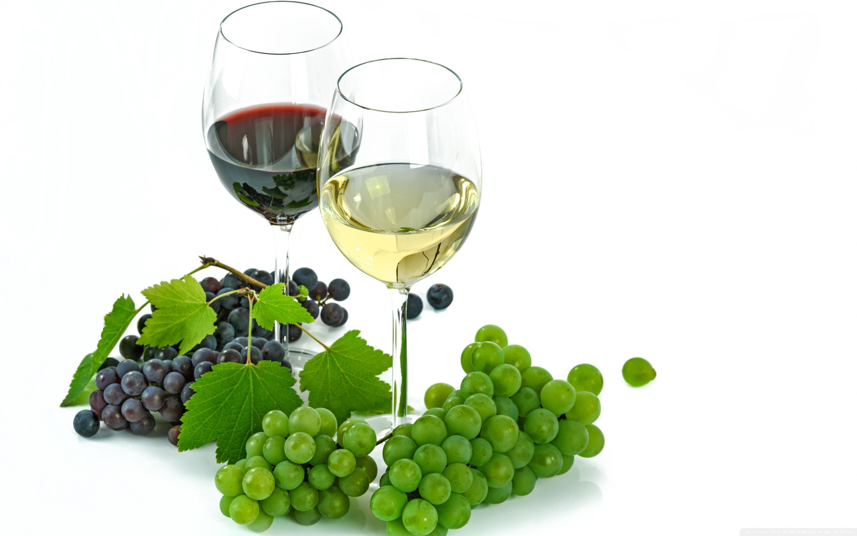 2880x1800 One Glass of Red Wine & One Glass Of White Wine 4K UHD Wallpaper for UltraHD Desktop and TV : Widescreen and UltraWide Display : Smartphone and Tablet Devices