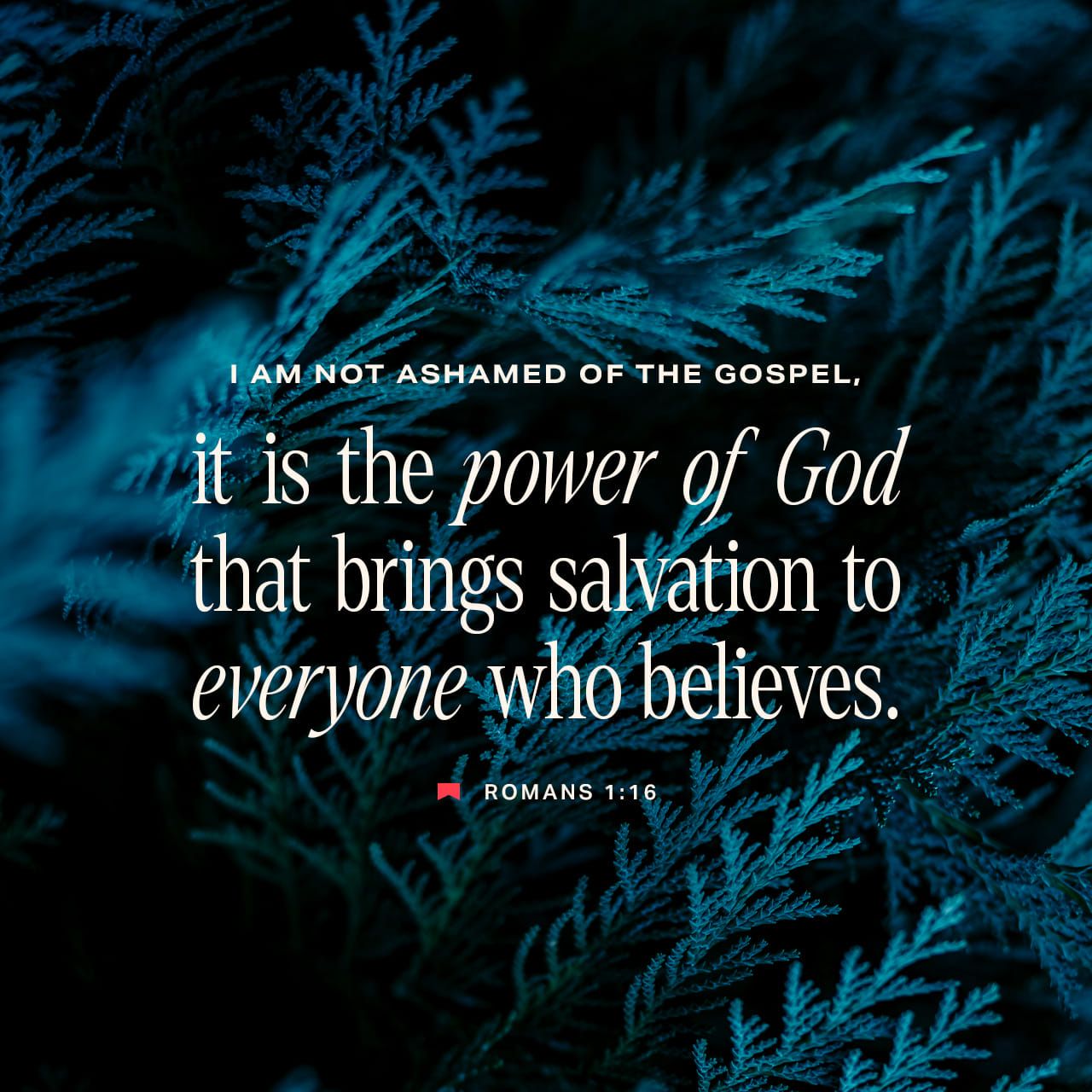 1280x1280 Romans 1:16 (NLT) I am not ashamed of this Good N