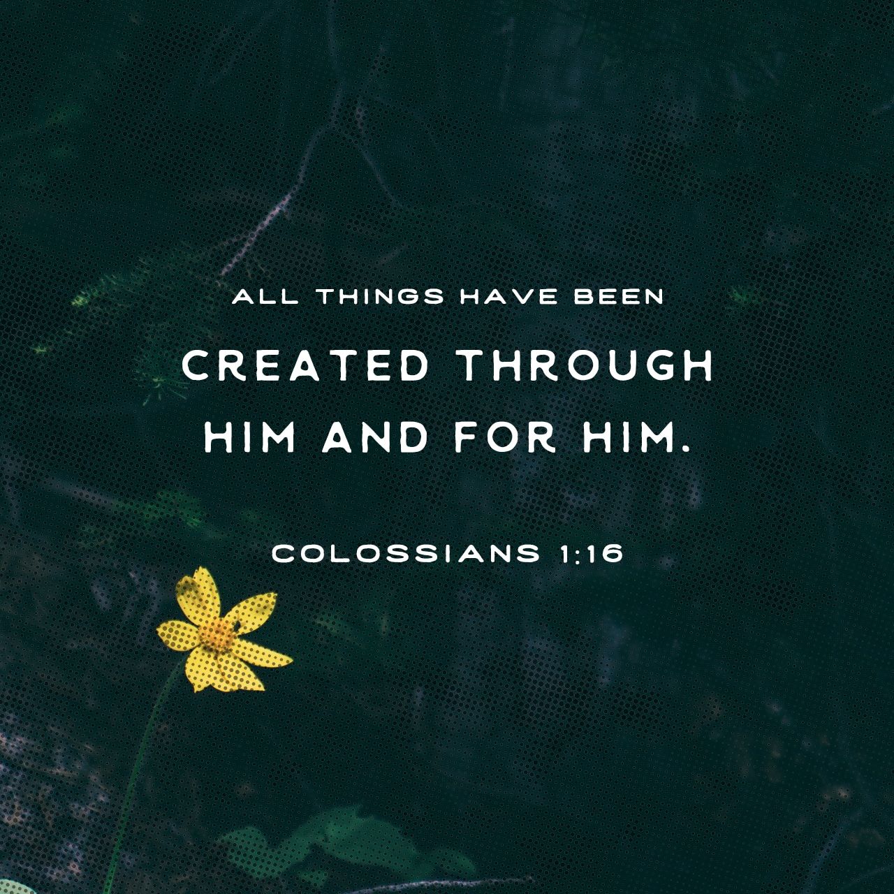 1280x1280 Colossians 1:16. Creative. Scripture Art. Free Church Resources from Life.Church