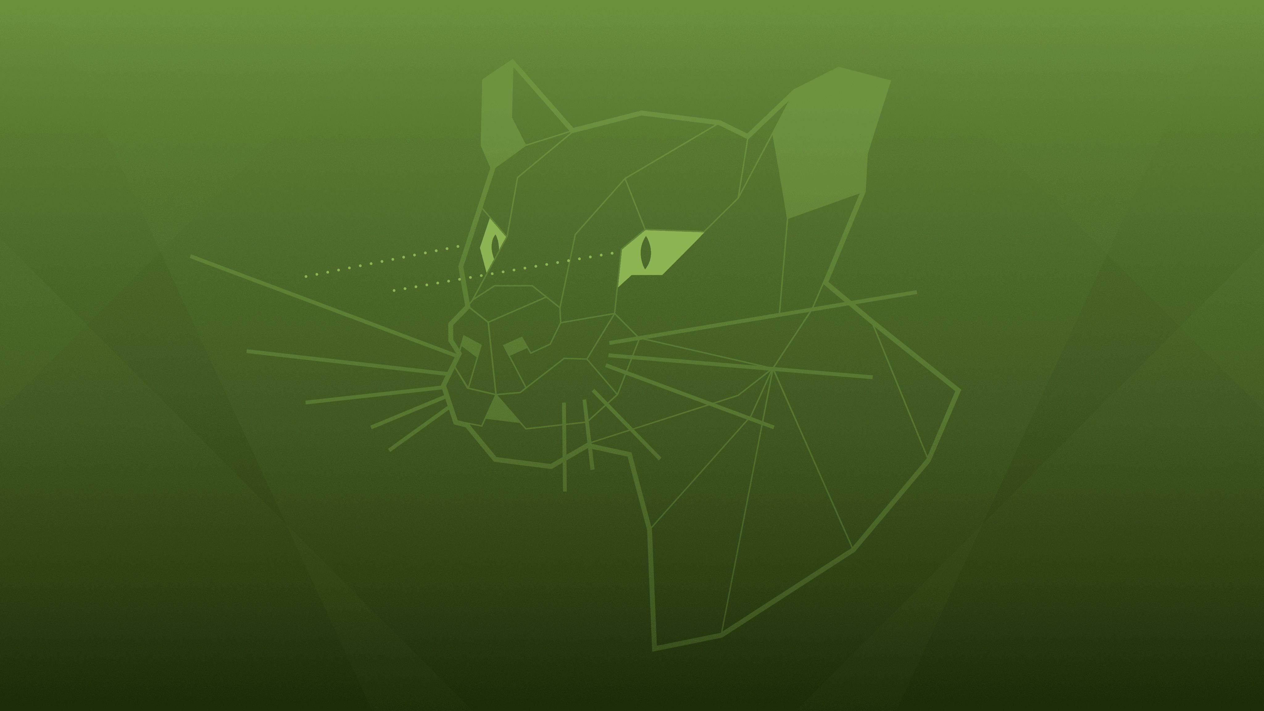4096x2304 Focal Fossa & Wallpaper Community Hub