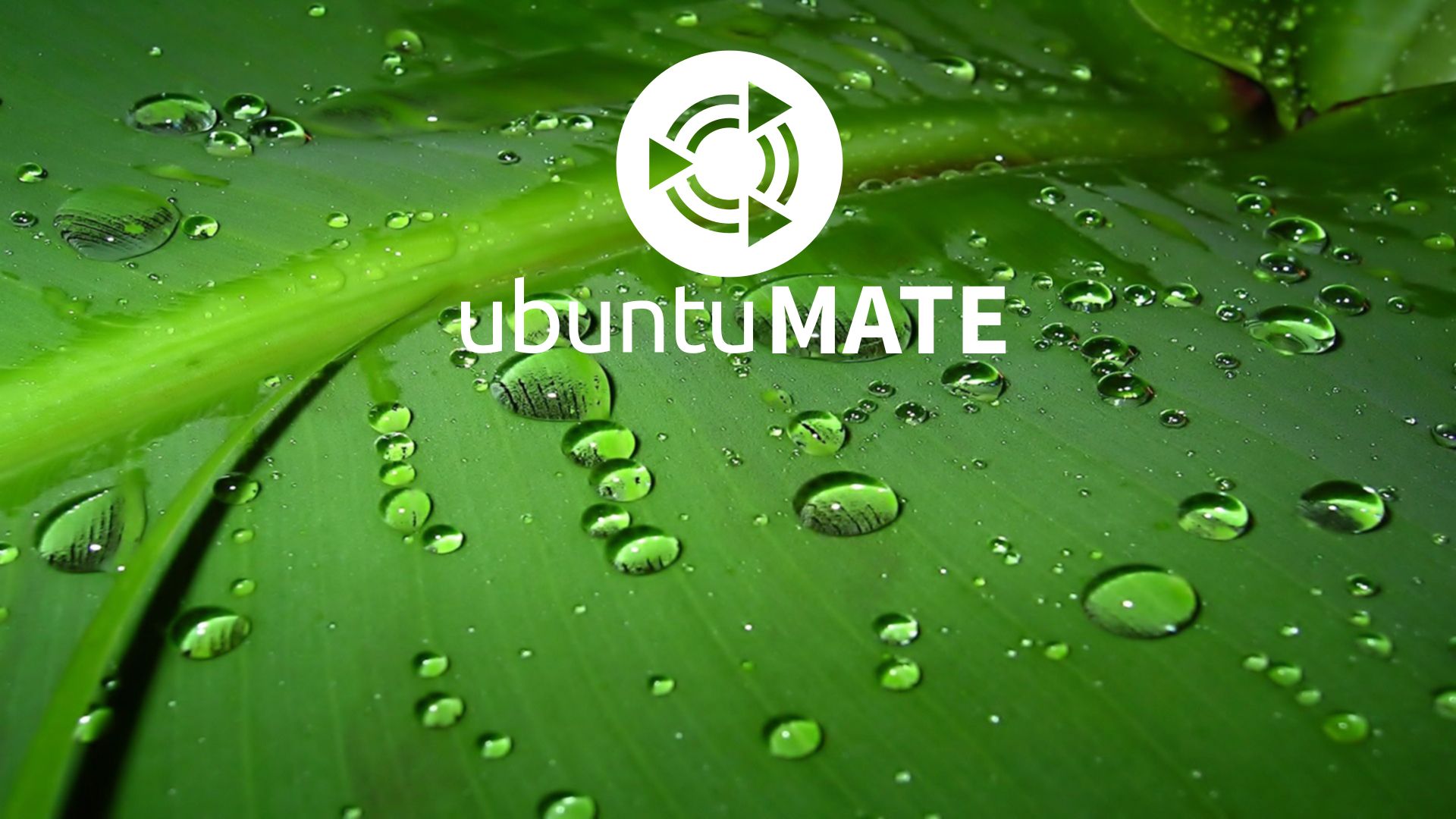 1920x1080 Some UbuntuMATE wallpaper MATE Community