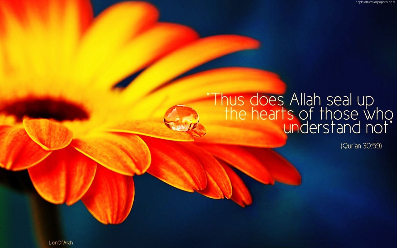 1280x800 thus Allah Does Seal Up - Quran Verse Wallpaper. Islamic Quotes Directory