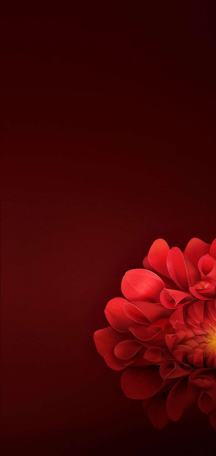 736x1553 Oppo r15
