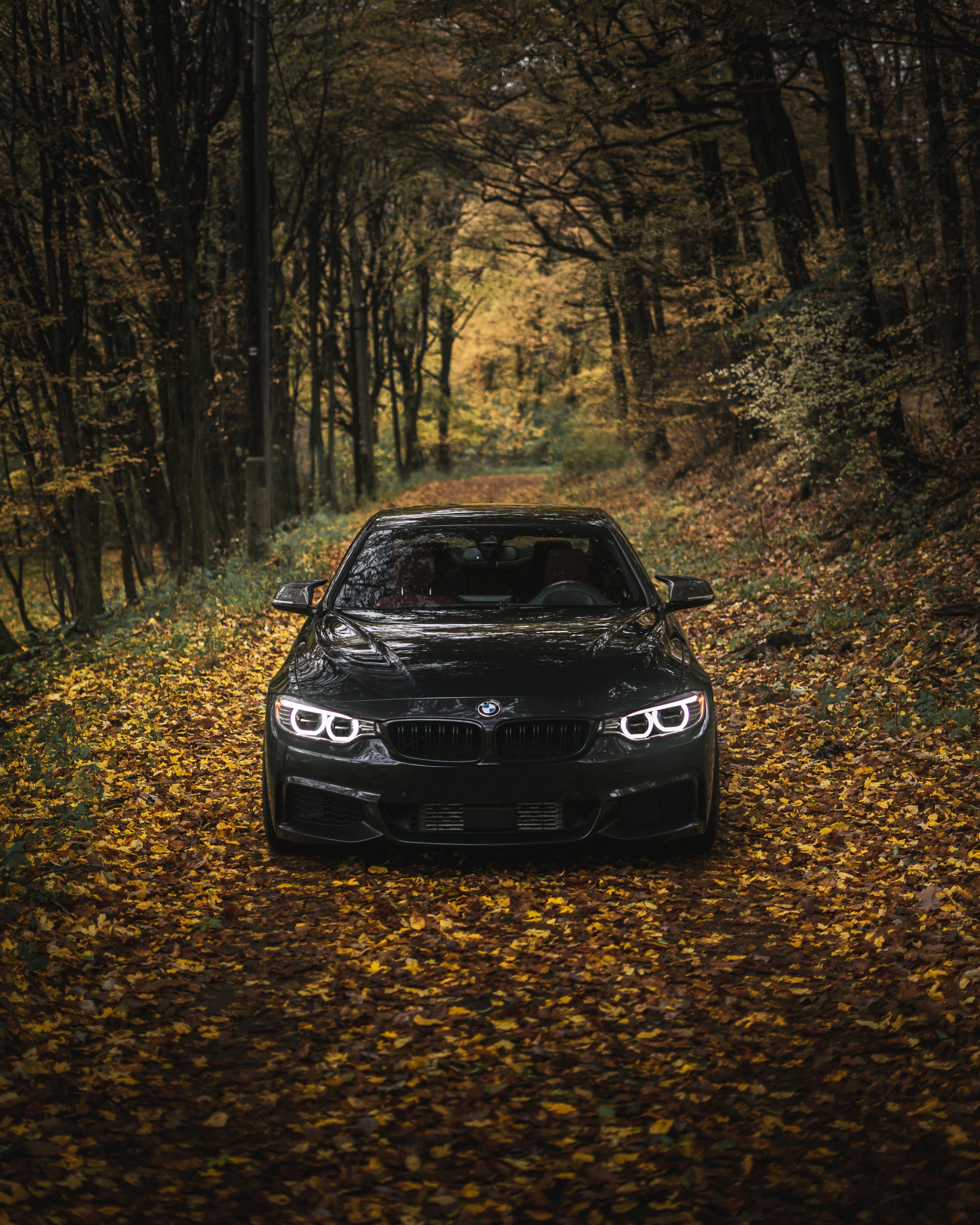 3000x3750 Black bmw m 3 on forest during daytime photo