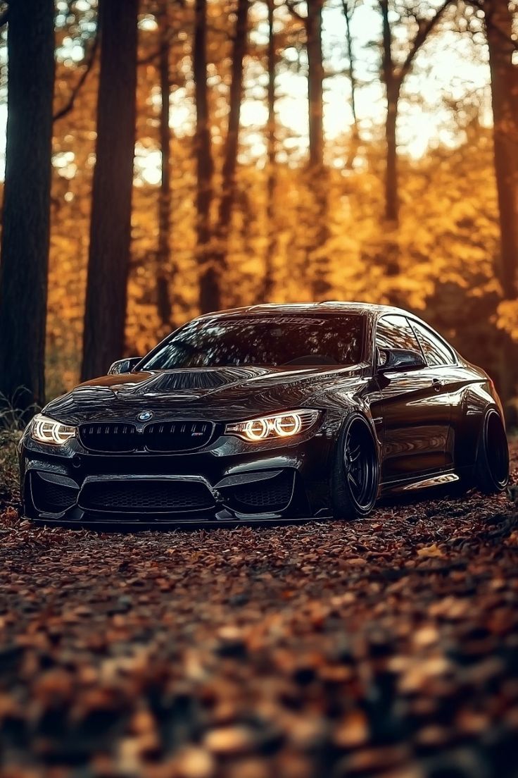 736x1104 BMW M Series: Power Meets Autumn Elegance