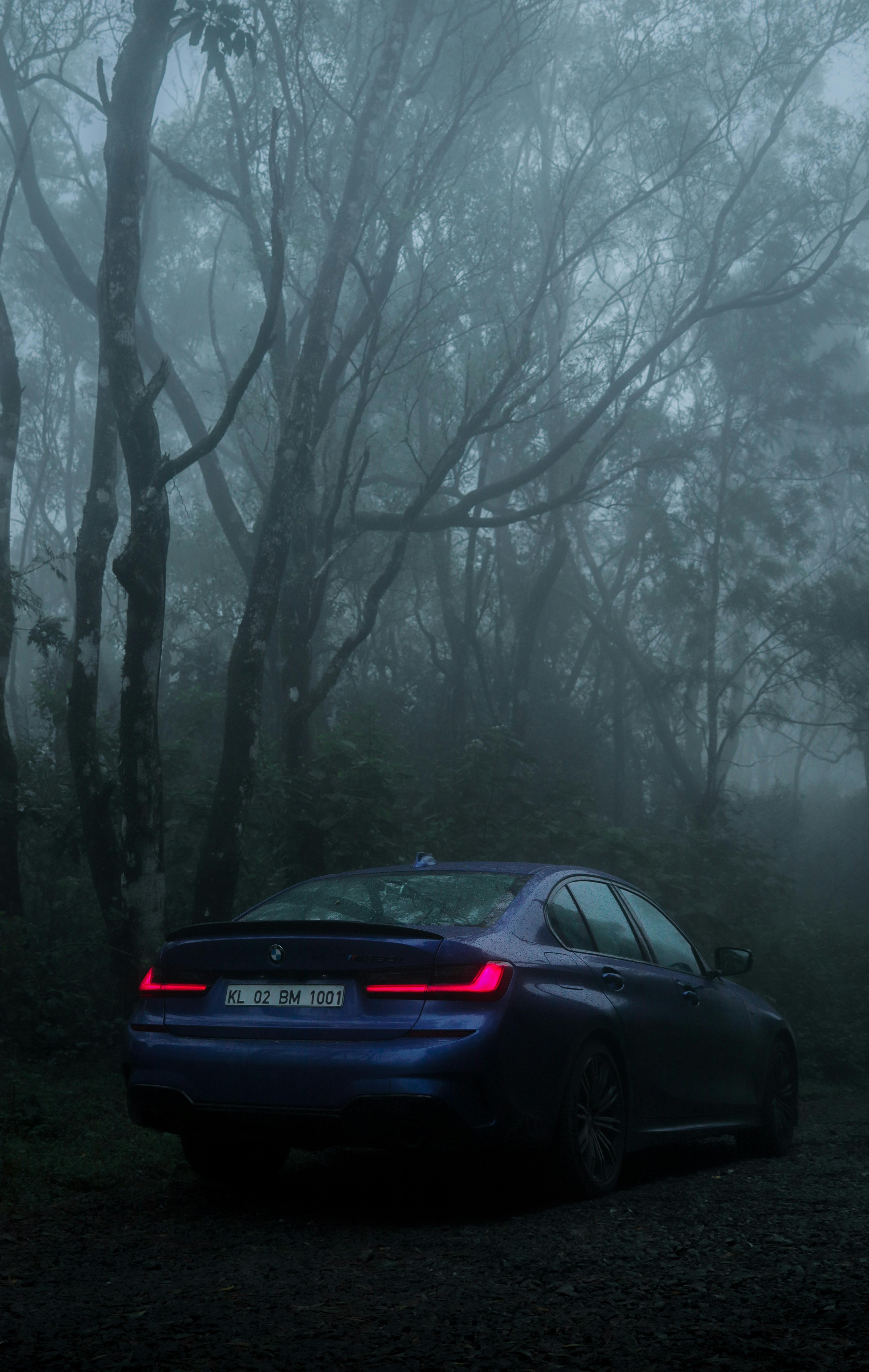 3494x5519 Blue Bmw Car Parked Under the Tall Trees · Free
