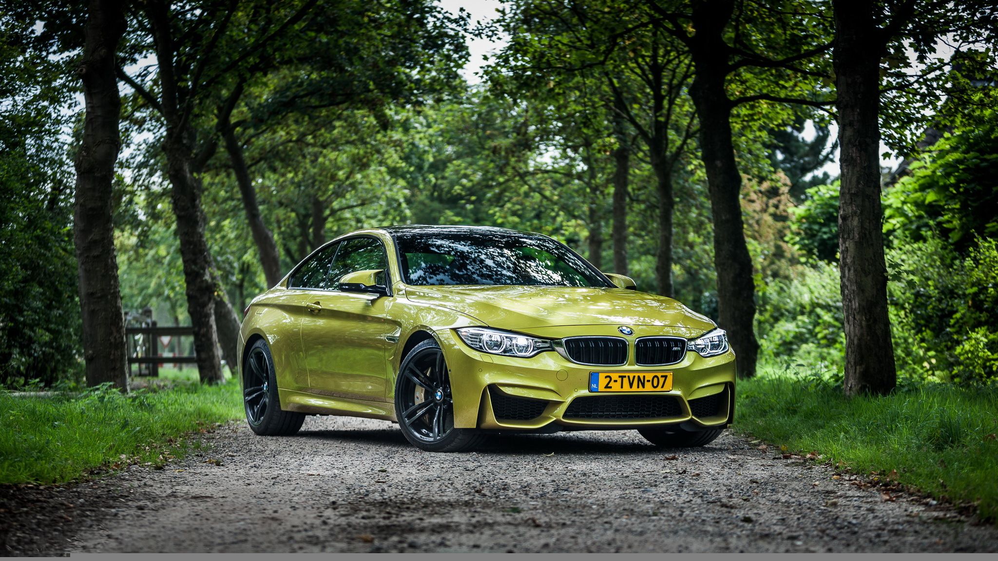 2048x1152 Wallpaper BMW, forest, road for mobile and desktop, section bmw, resolution 2048x1152