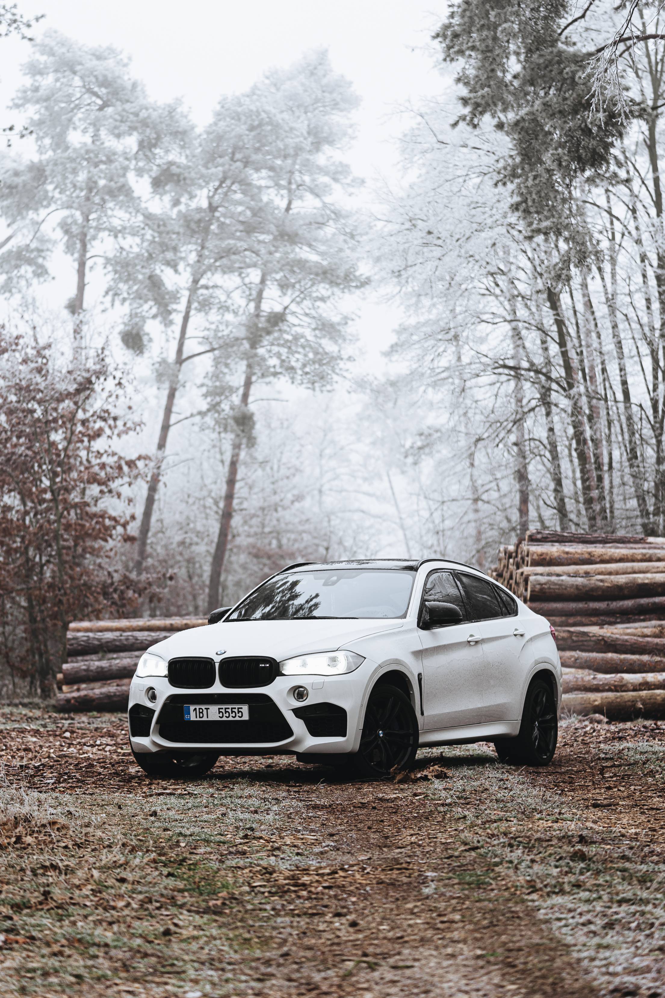 2210x3314 BMW X6M in Frozen Forest. Free Car Photo