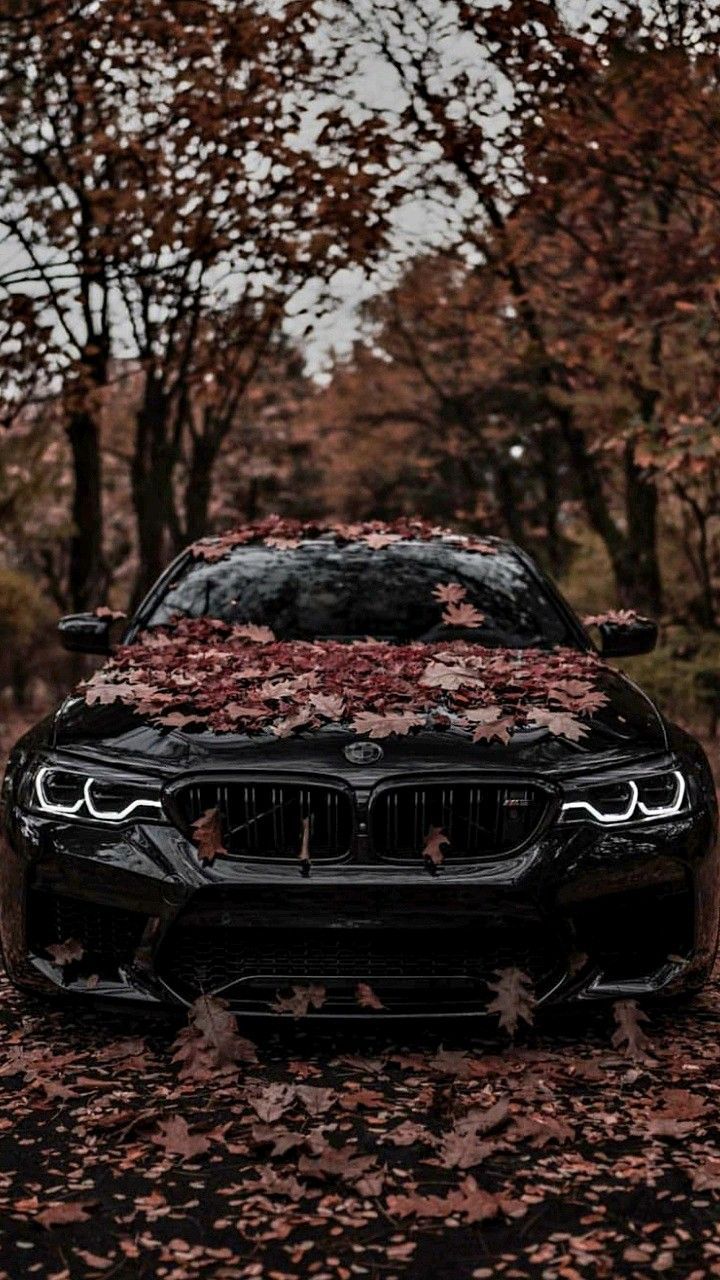 720x1280 bmw car in forest