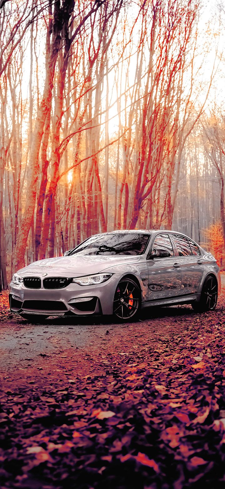 720x1560 BMW M3 In The Brown Forest 4K phone Wallpaper