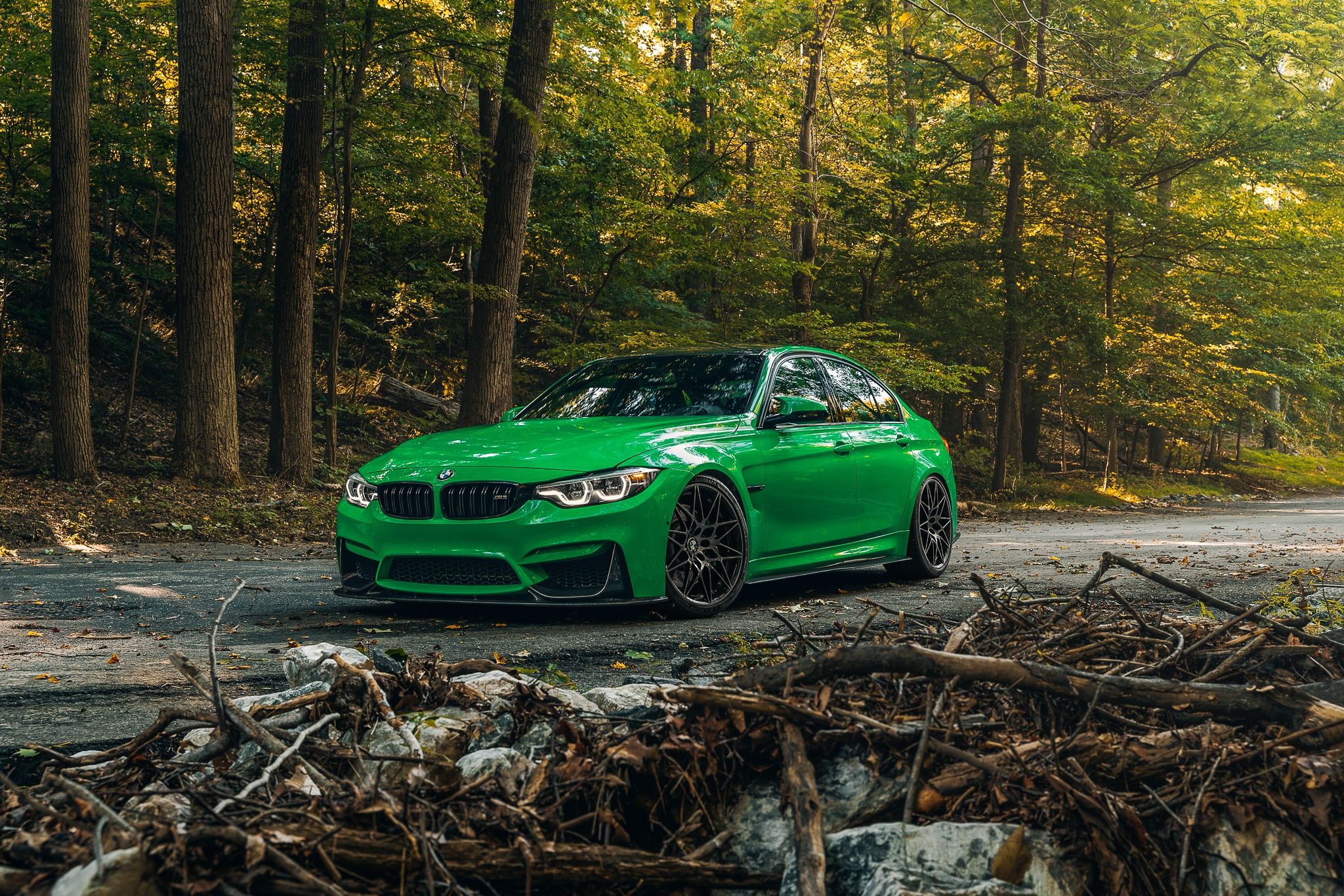2048x1366 Wallpaper green, BMW, forest, F Sight for mobile and desktop, section bmw, resolution 2048x1366