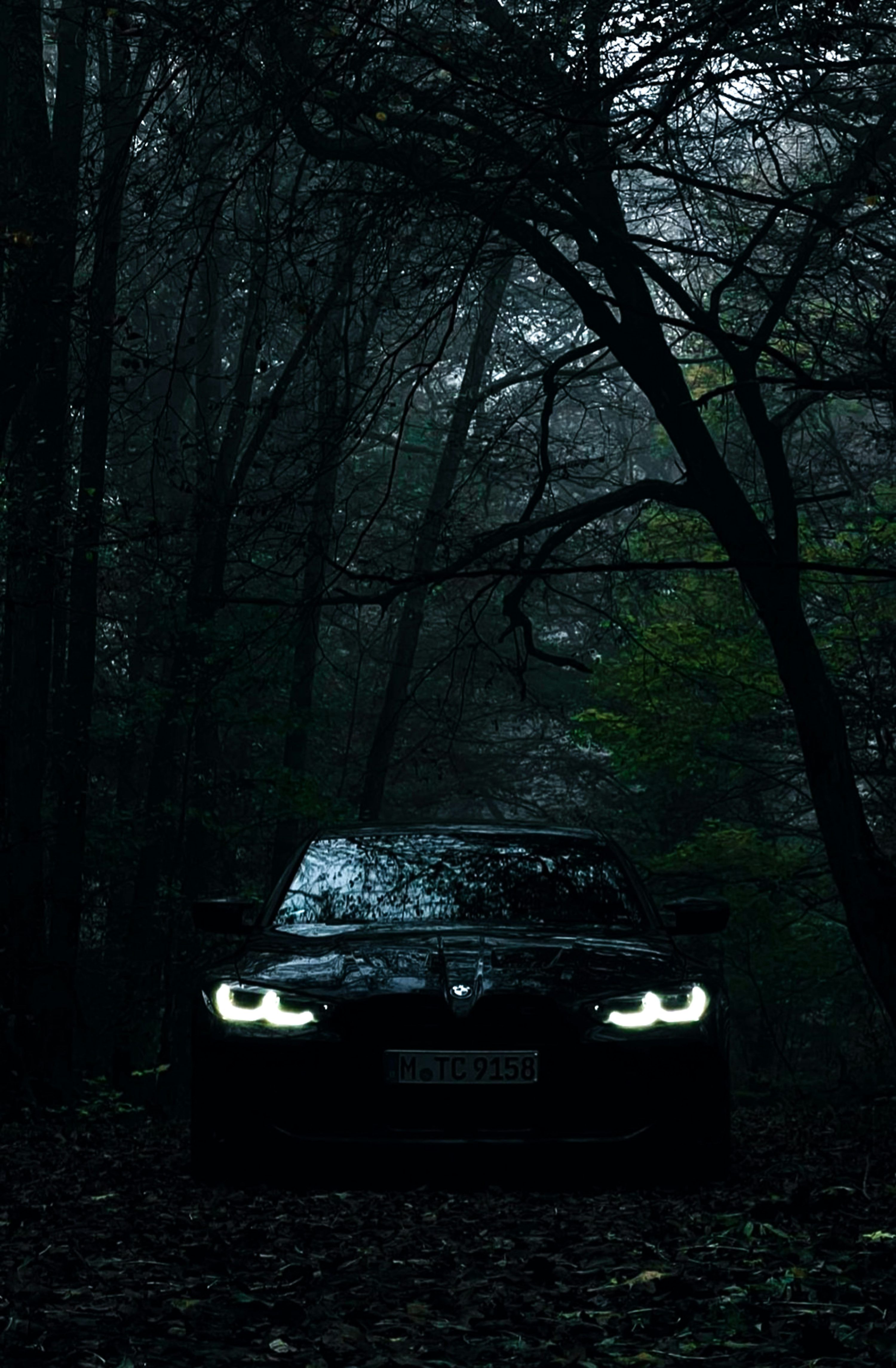 3000x4578 A car parked in the woods with its lights on photo
