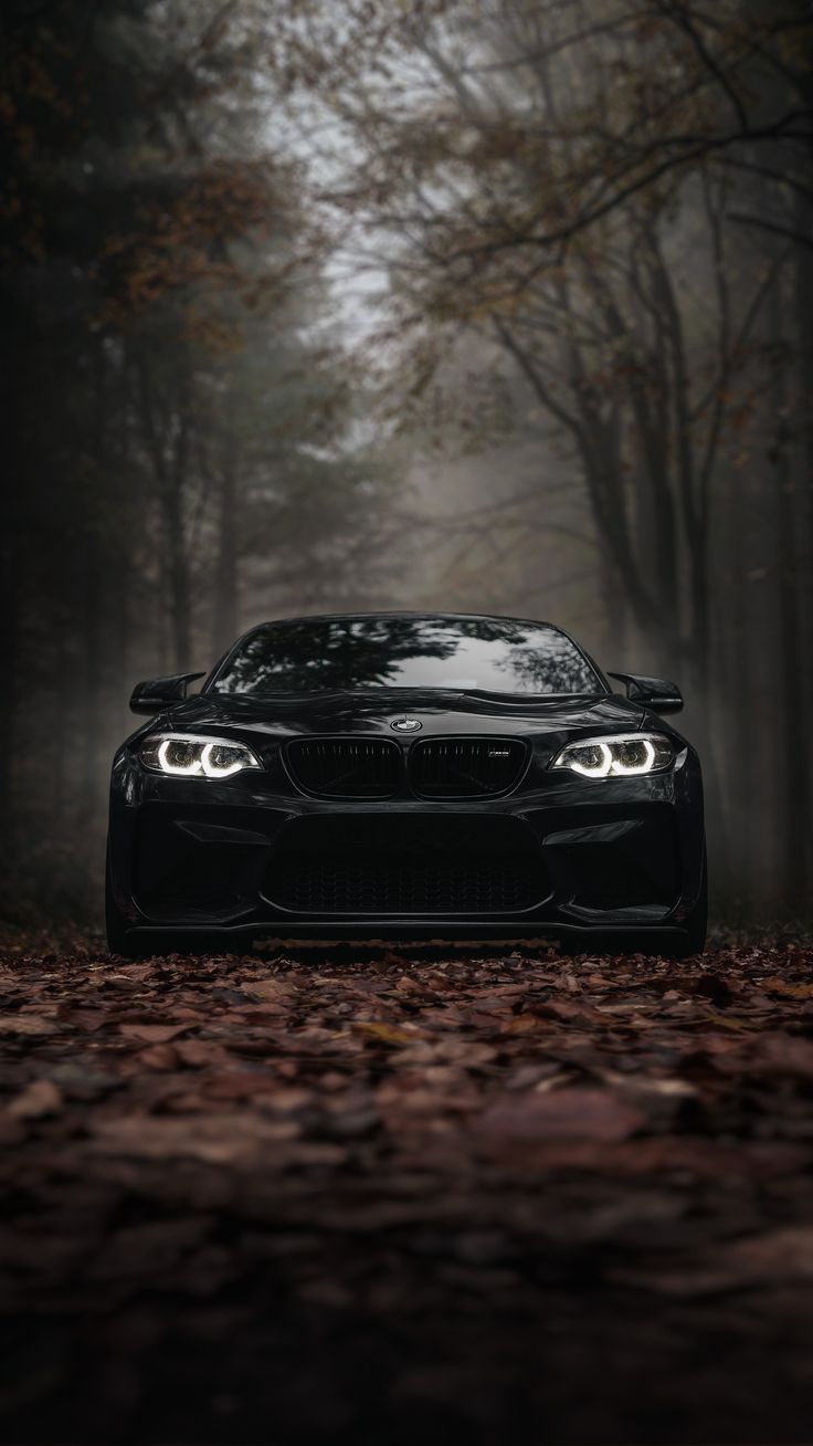 736x1308 BMW#Leaves#Forest#Car