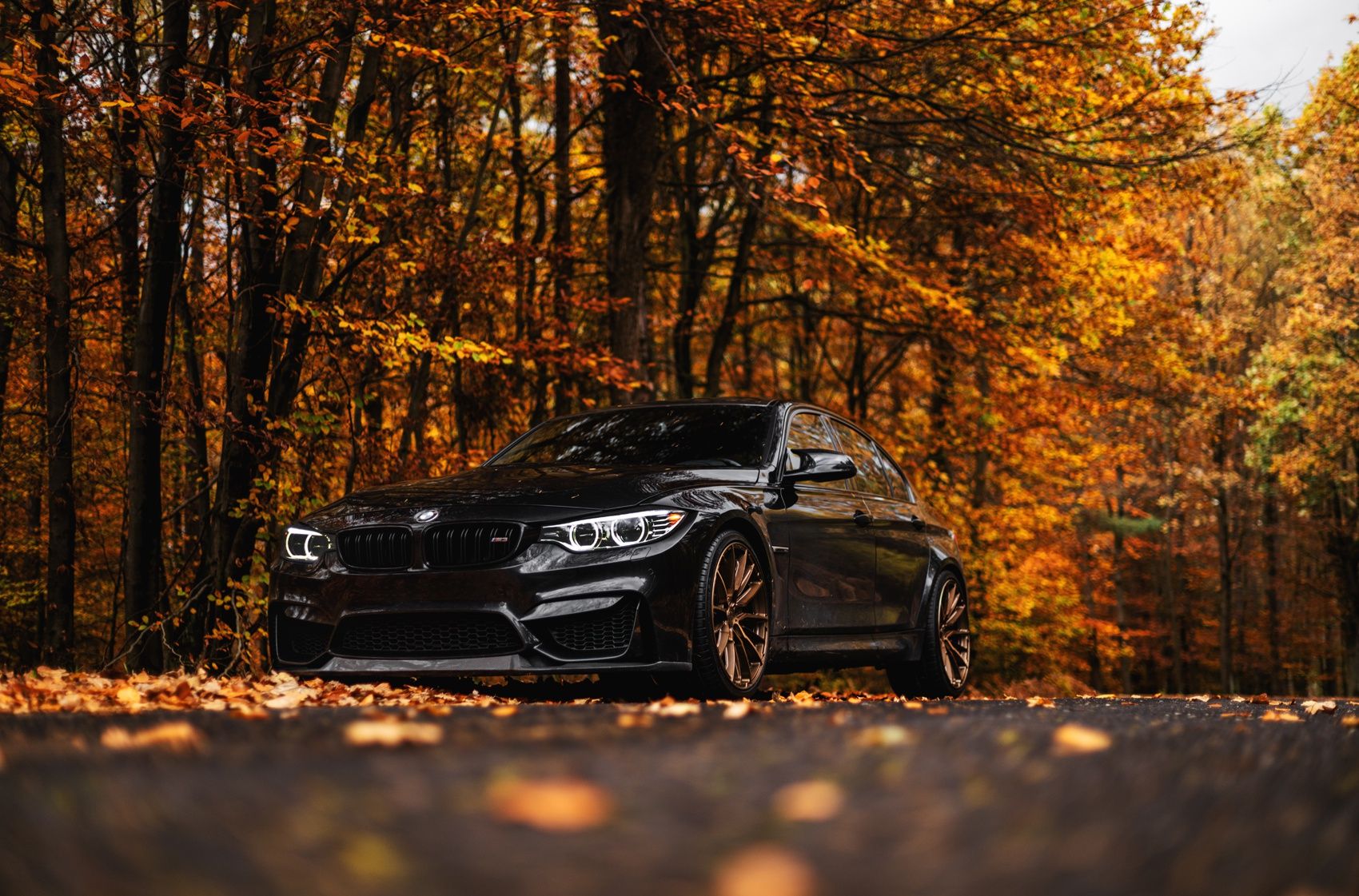 1700x1121 BMW 3 series / M3