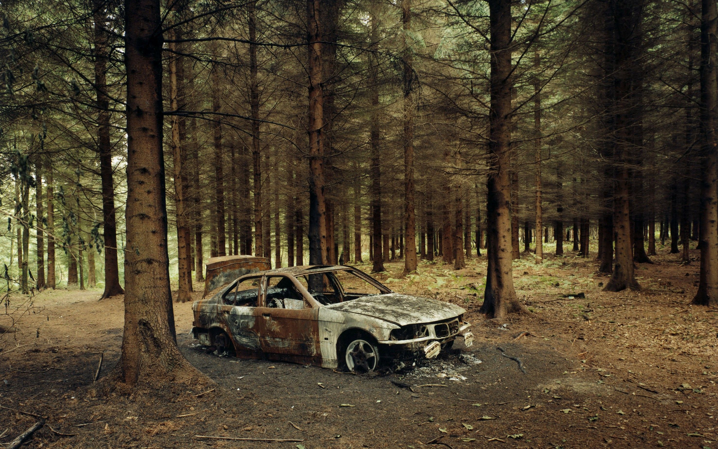 2953x1846 forest, Vehicle, Car, Wreck, BMW Wallpaper HD / Desktop and Mobile Background