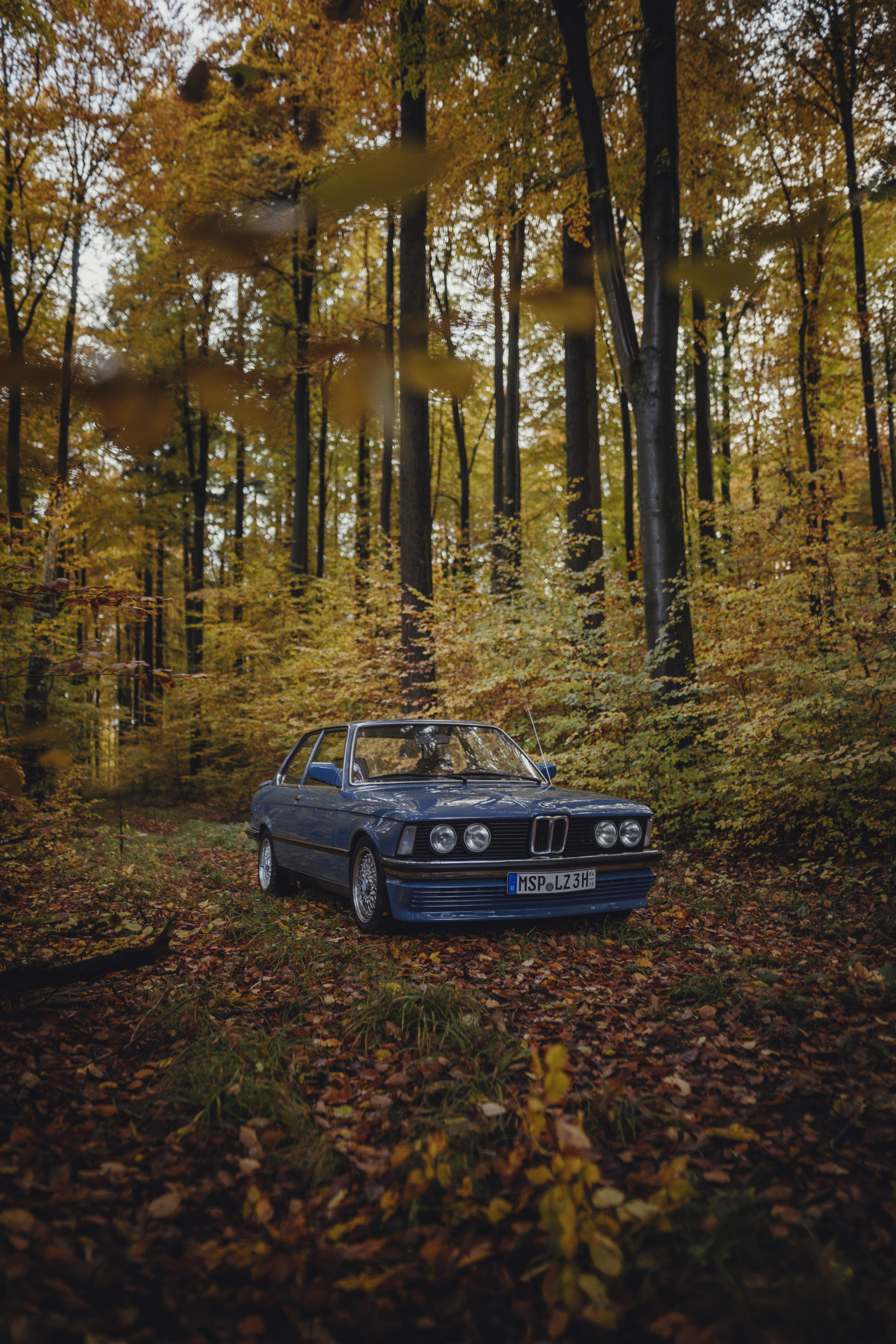 4830x7245 History in the forest. BMW E21. [4830x7245]
