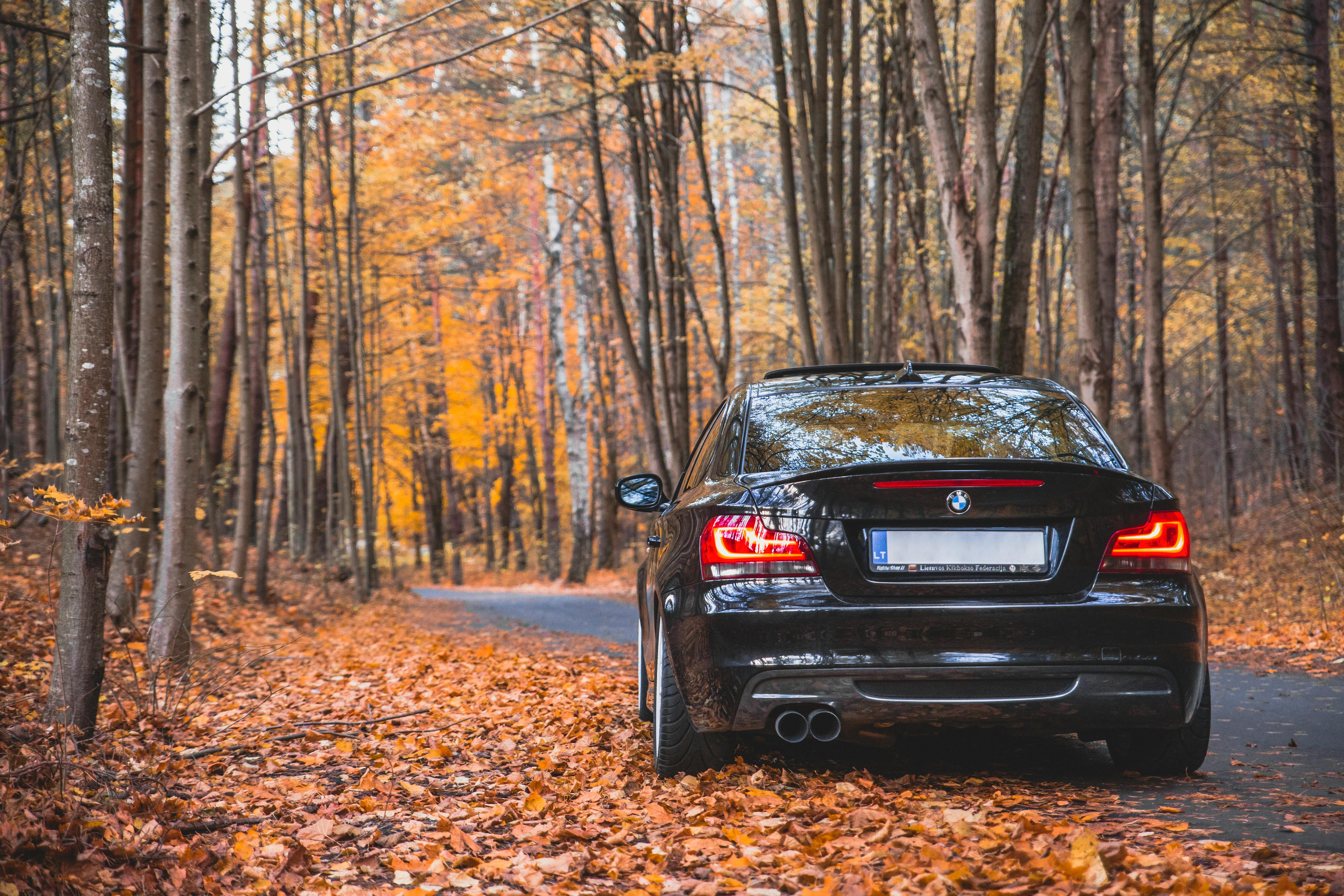4500x3000 Black Car on Road With Fallen Leaves · Free