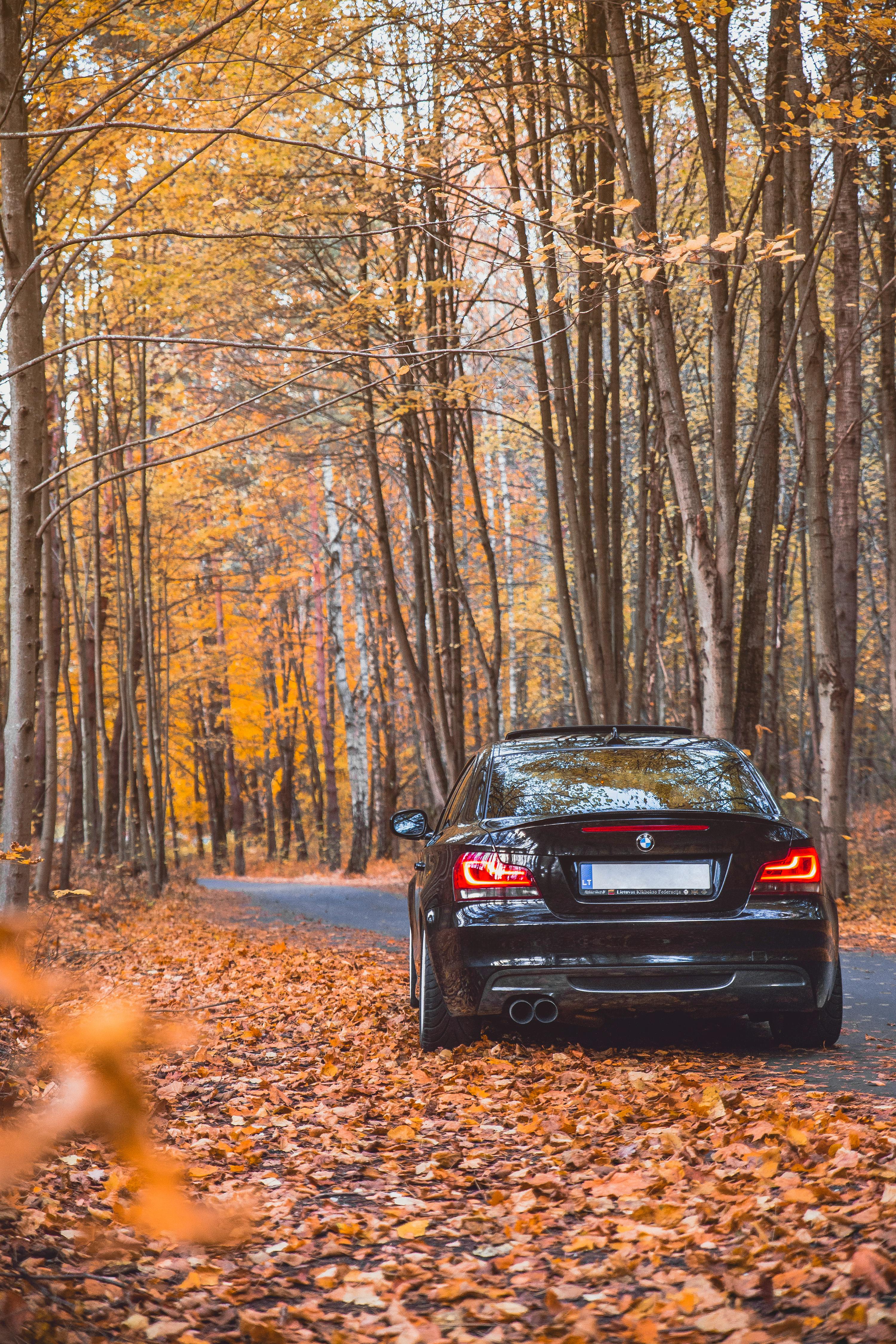 3000x4500 Black Car on Road With Fallen Leaves · Free
