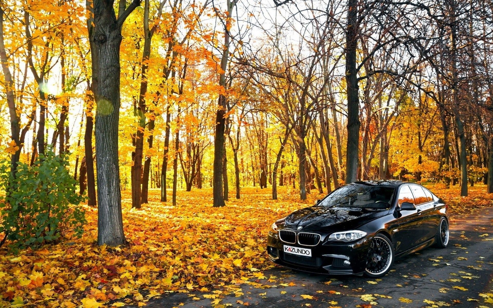 1920x1200 Black BMW In Forest Wallpaper, HD Cars Wallpaper, 4k Wallpaper, Image, Background, Photos and Picture
