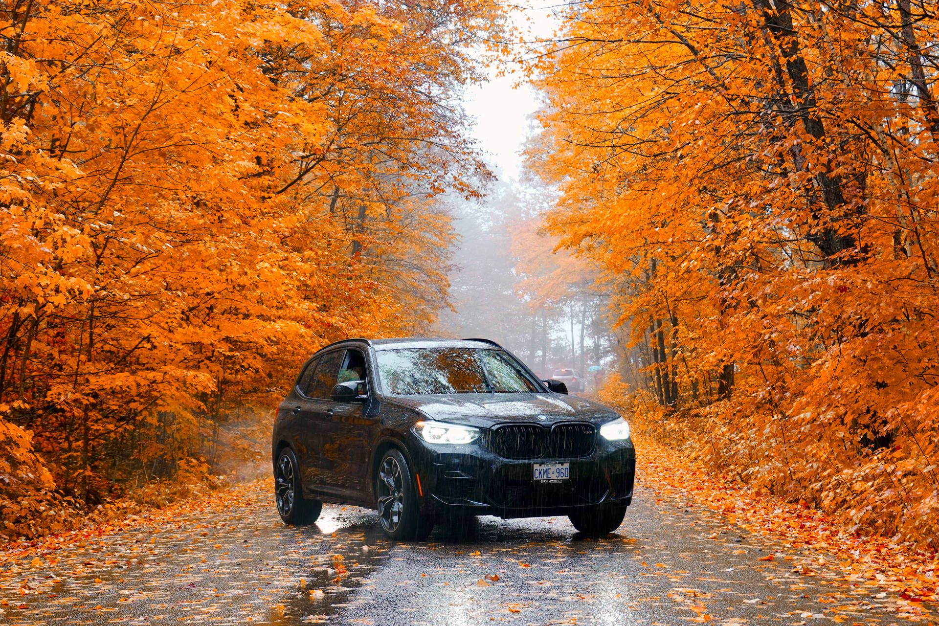 1920x1280 Download Black BMW M in Vibrant Autumn Scenery Wallpaper