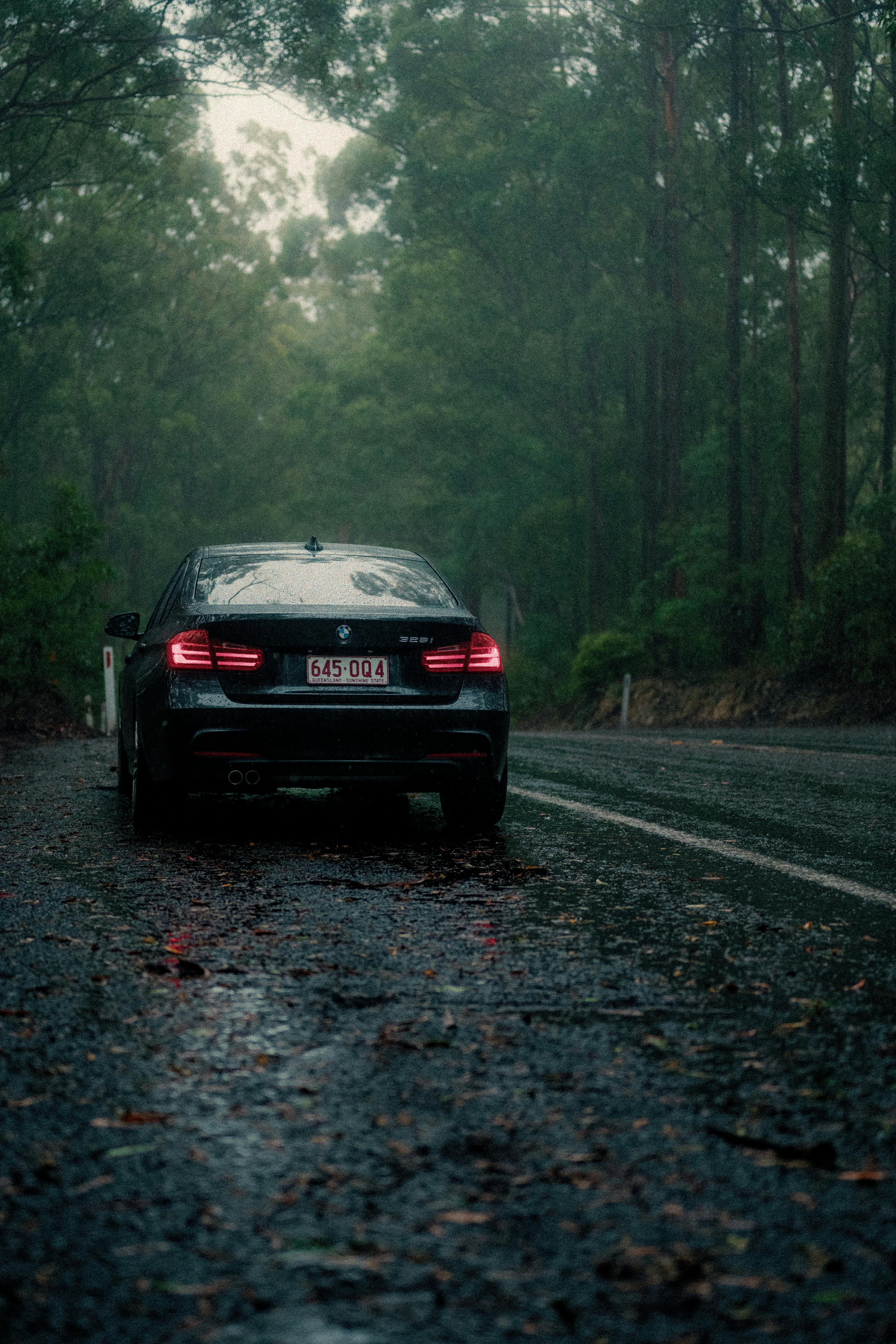 3495x5243 Blue Bmw Car Parked Under the Tall Trees · Free
