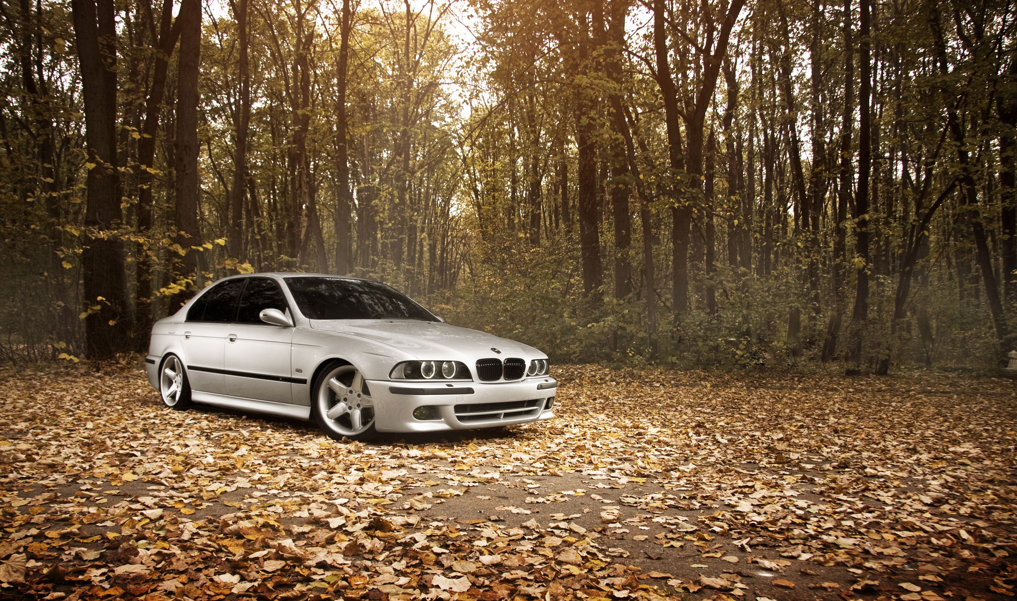 3888x2298 Wallpaper autumn, forest, leaves, BMW, BMW, m5 e stance works for mobile and desktop, section bmw, resolution 3888x2298