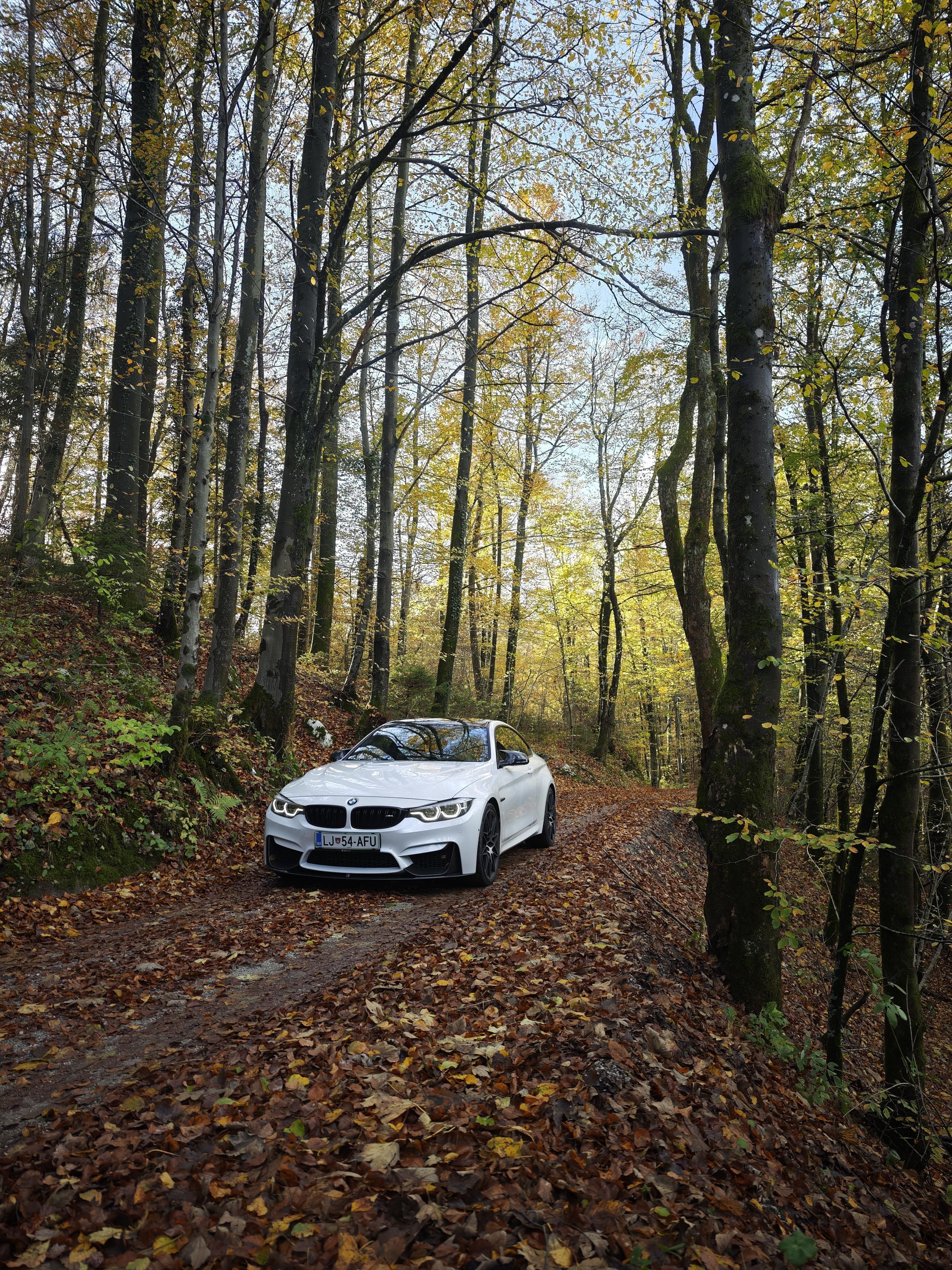 3072x4096 Favorite autum photo of your BMW