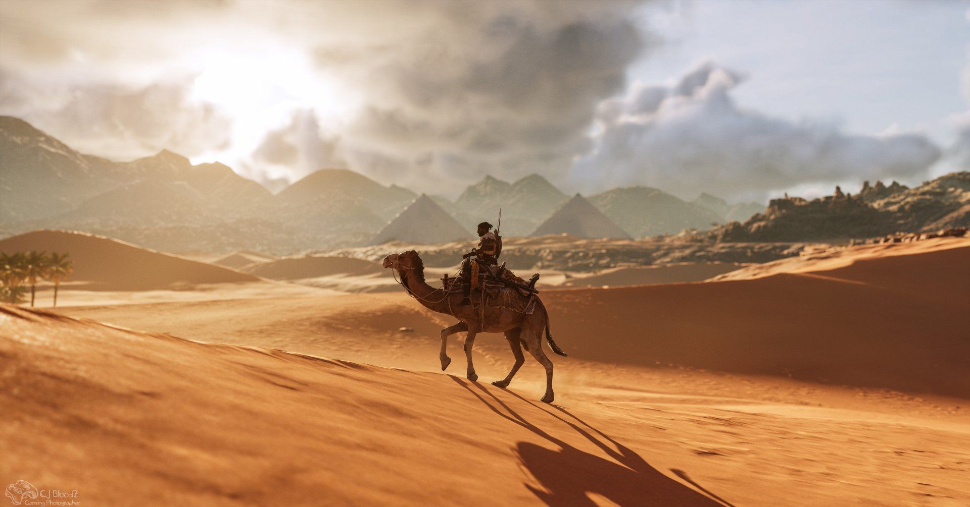 1920x1005 Assassin's Creed Origins Warrior on Camel (5K UHD)