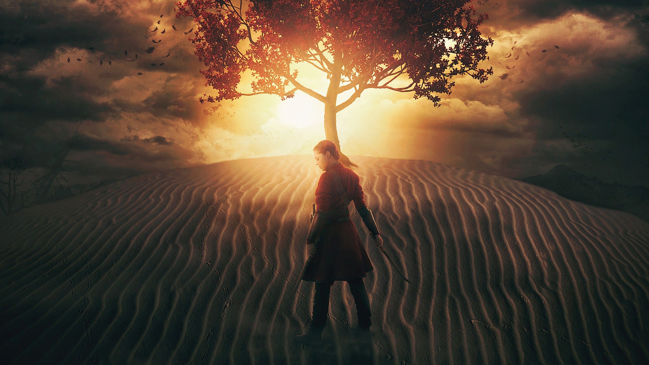 2560x1440 Warrior in Desert Wallpaper