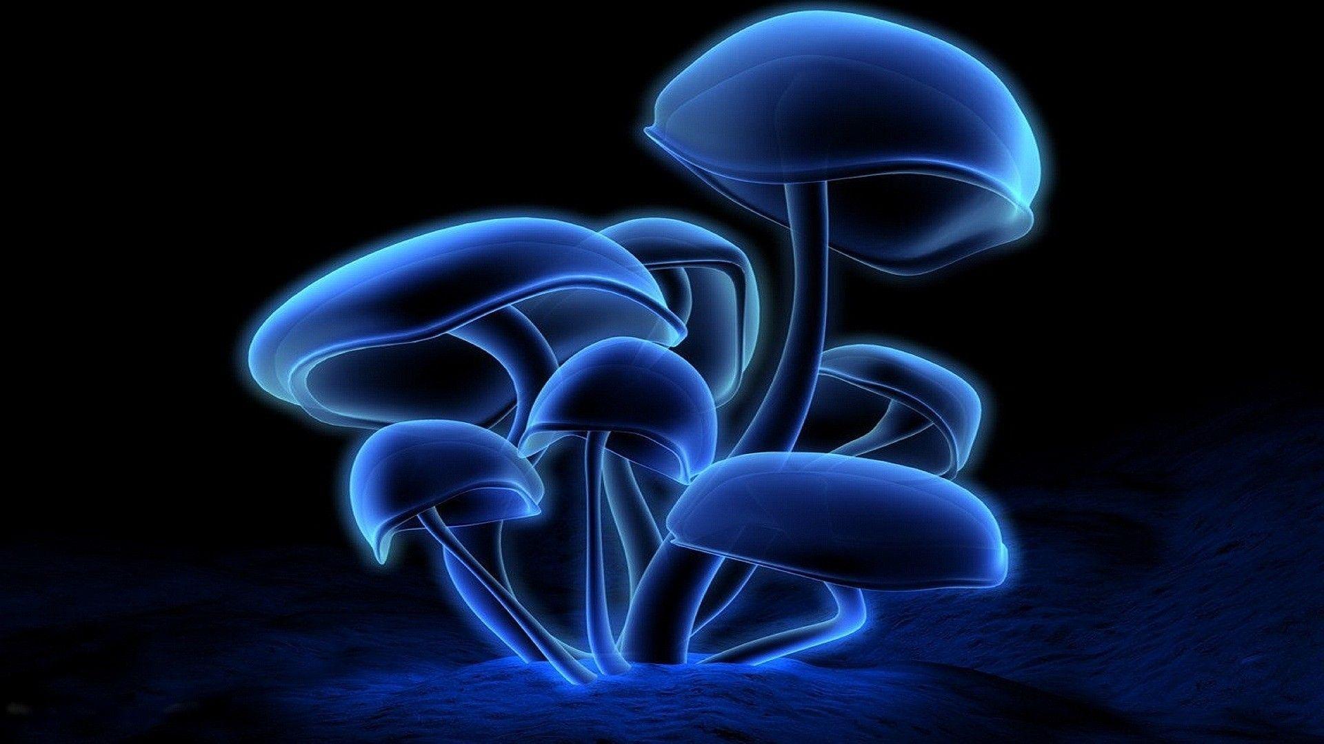 1920x1080 Mushroom Wallpaper, Live Mushroom Photo (32), PC, Desktop Screens