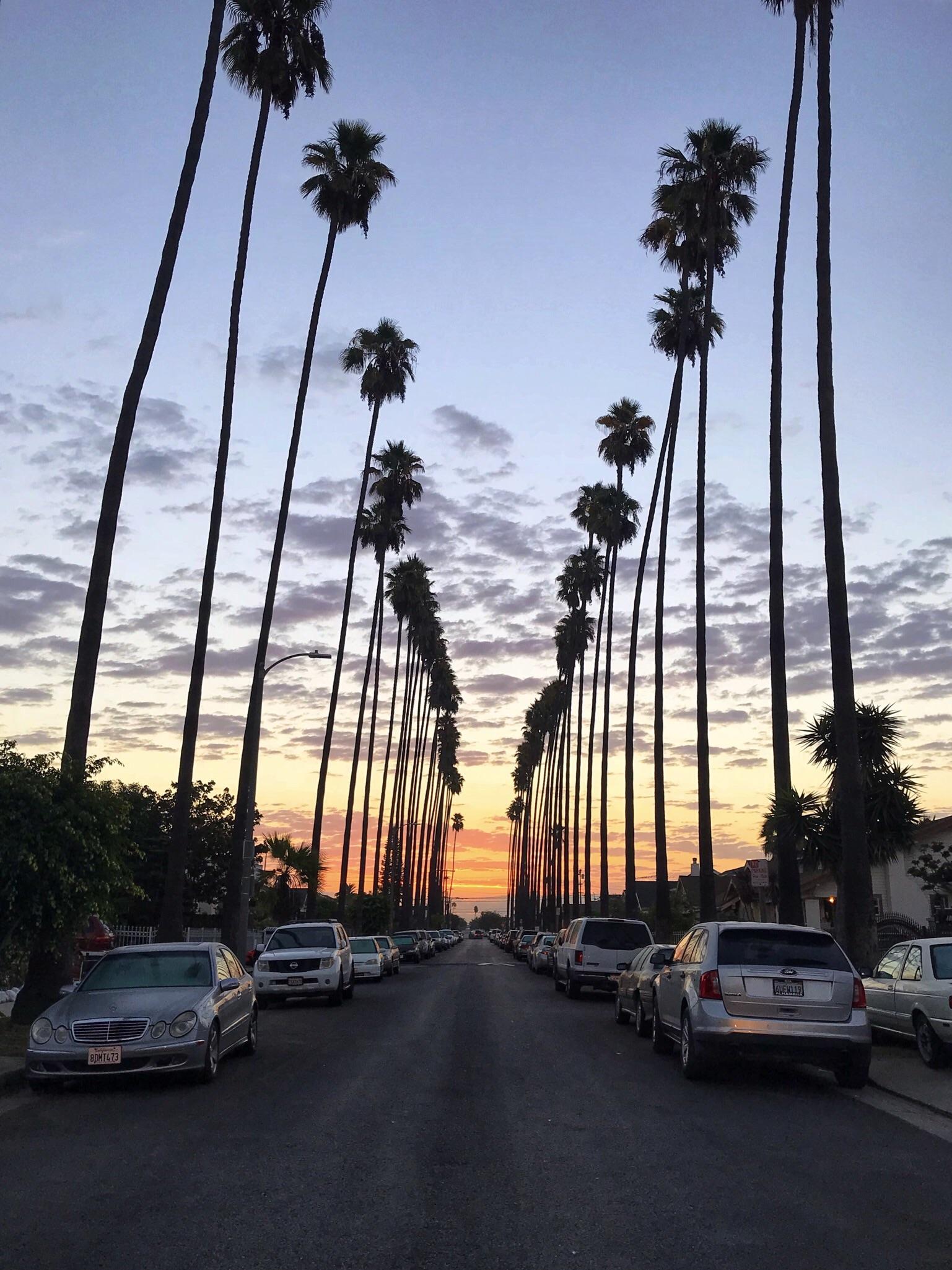 1537x2050 South LA Sunrise. Western 55th