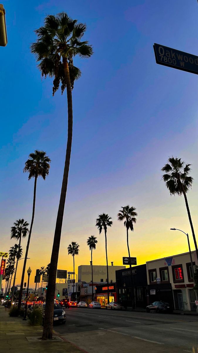 675x1200 Scrap with Leo ideas. los angeles aesthetic, los angeles, trip
