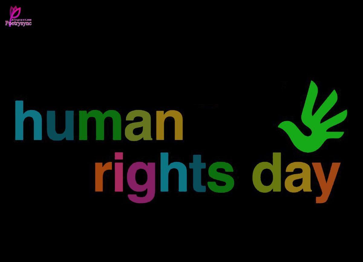 1200x867 Human Rights Day Wallpaper