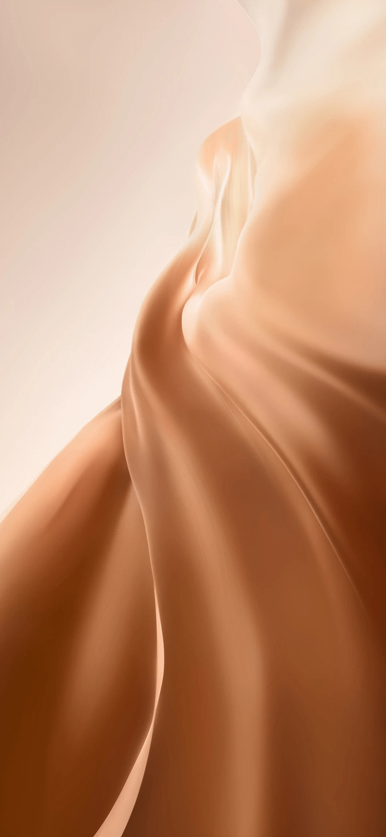1284x2778 