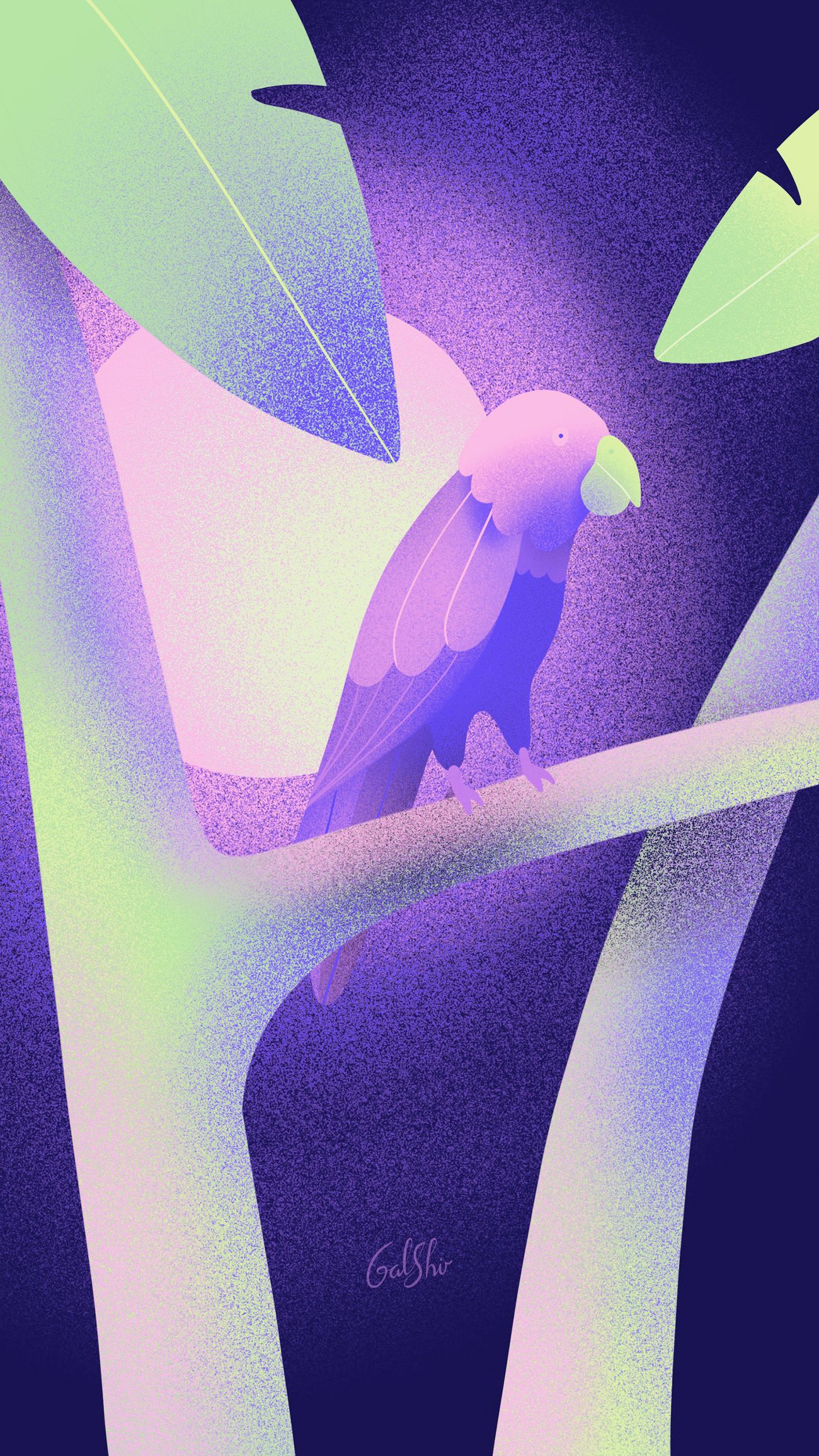 1300x2311 Galshir Parrot Wallpaper