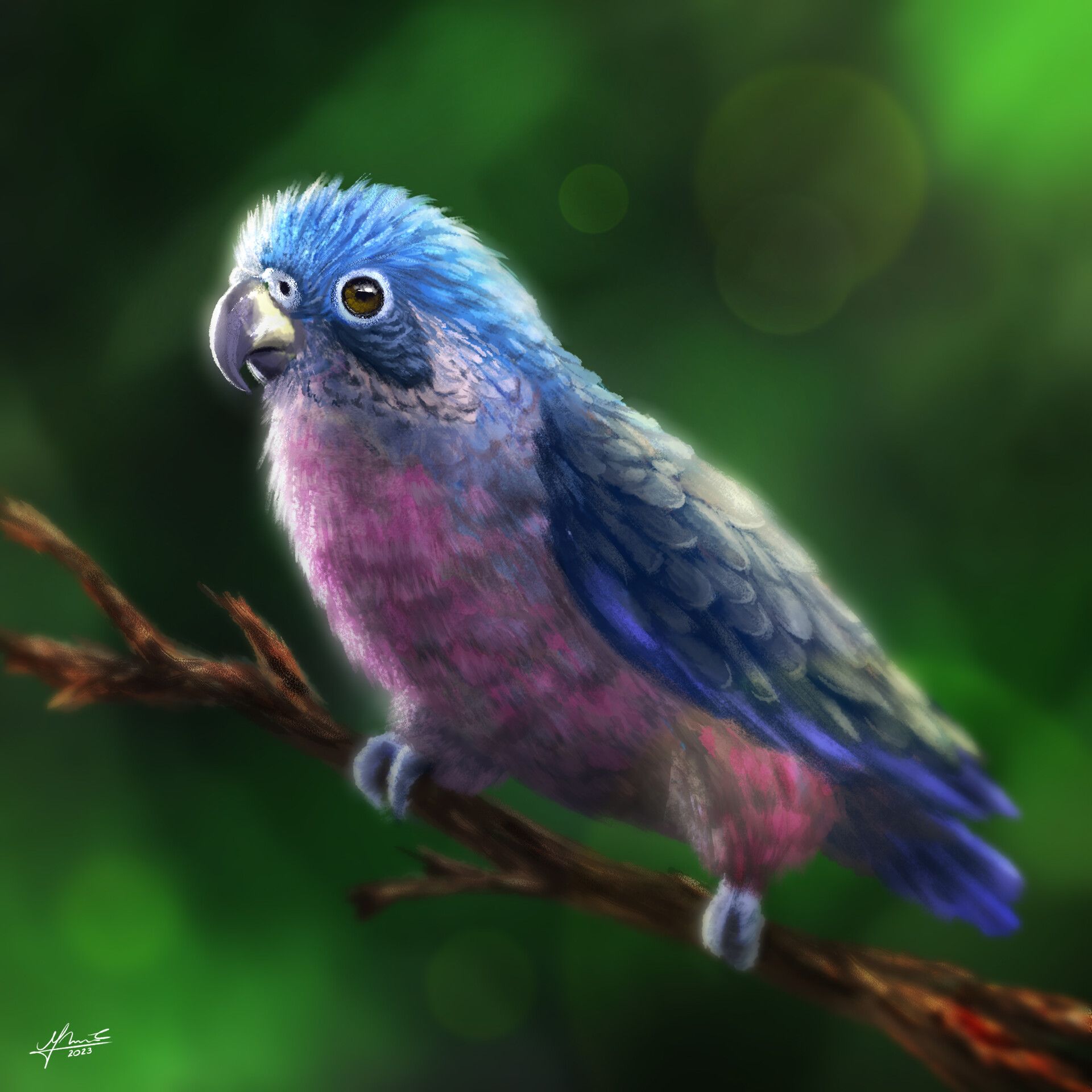 1920x1920 Dusky Parrot