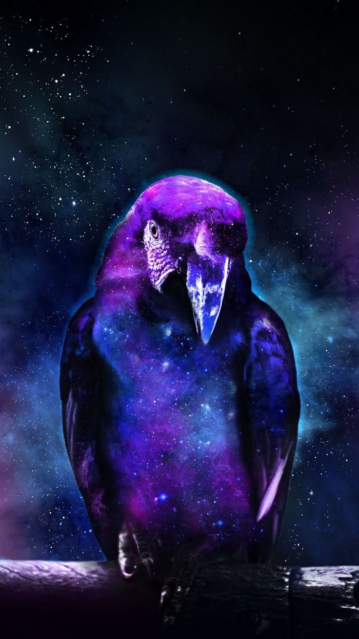 736x1308 Parrot in Space Wallpaper. Animal nebula wallpaper
