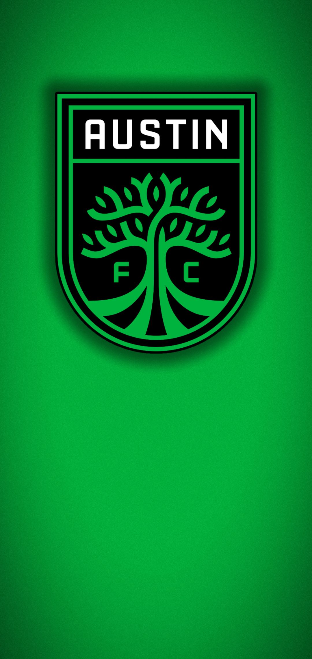 1080x2280 Here is a mobile wallpaper I made for everyone, enjoy!